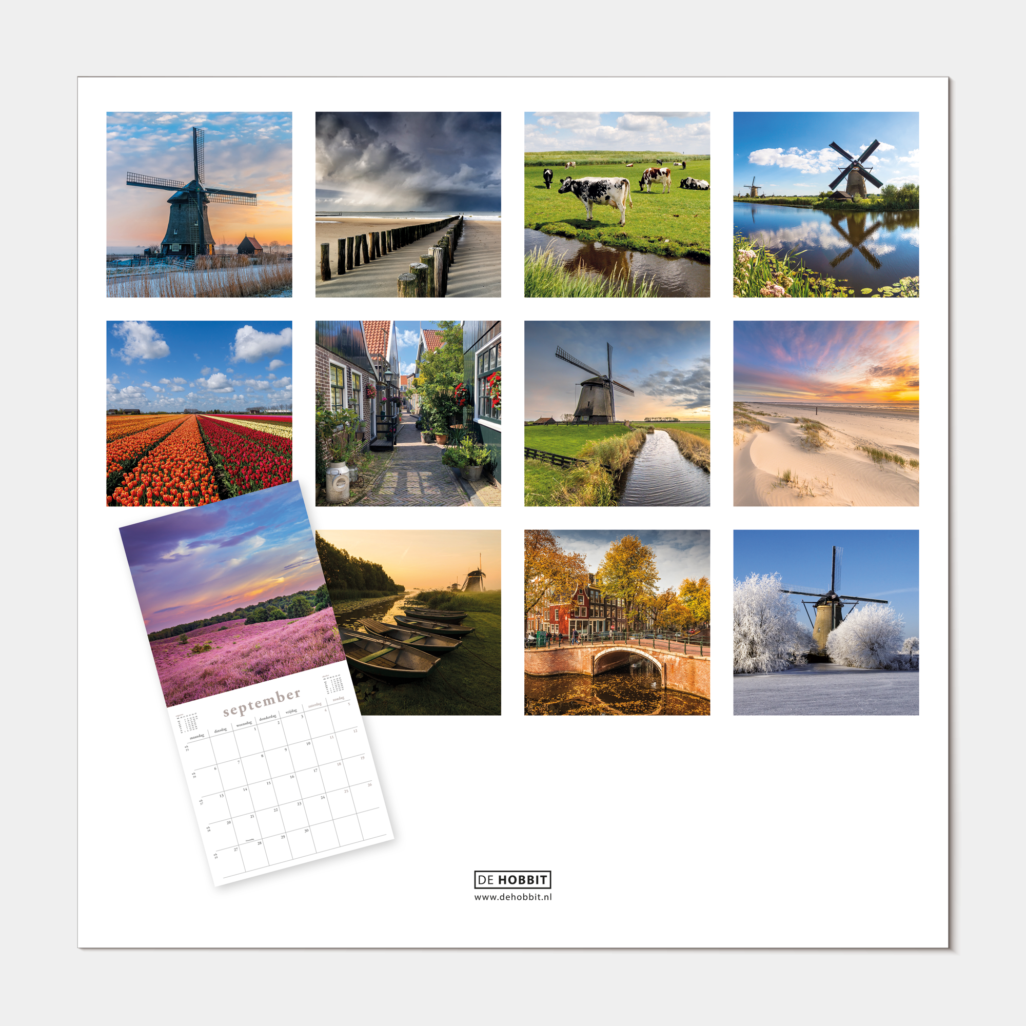 Hobbit - Jaarkalender 2026 - Maandplanner - 30x30cm - Holland