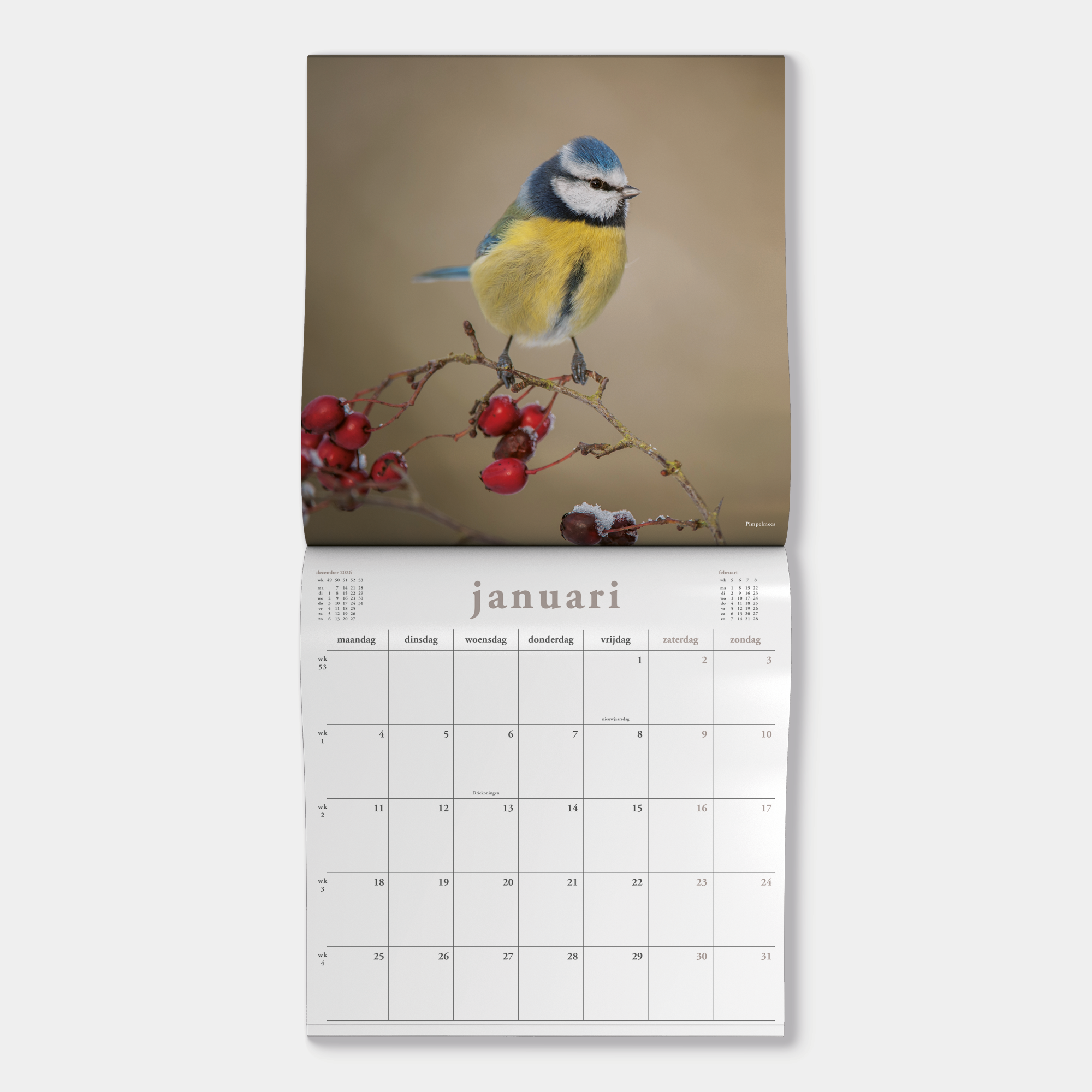 JAARKALENDER 2027 VOGELS