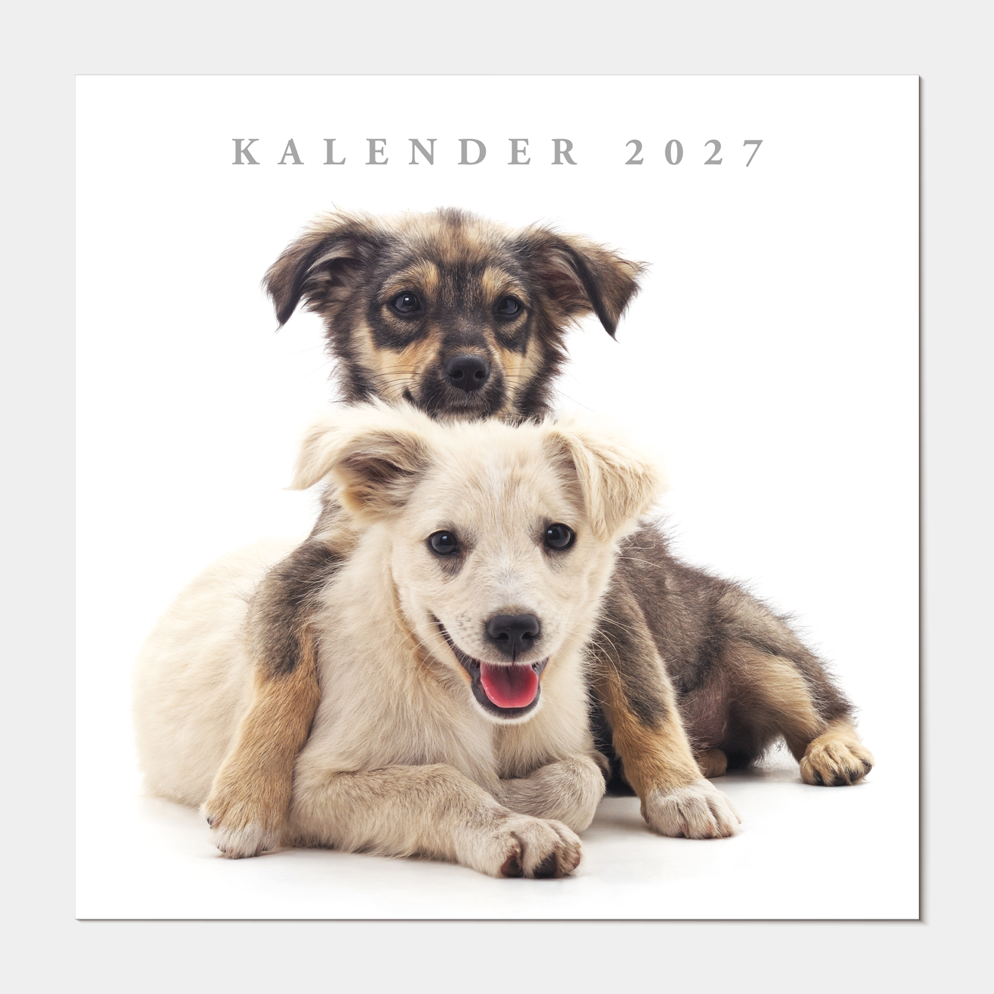 JAARKALENDER 2027 HONDEN