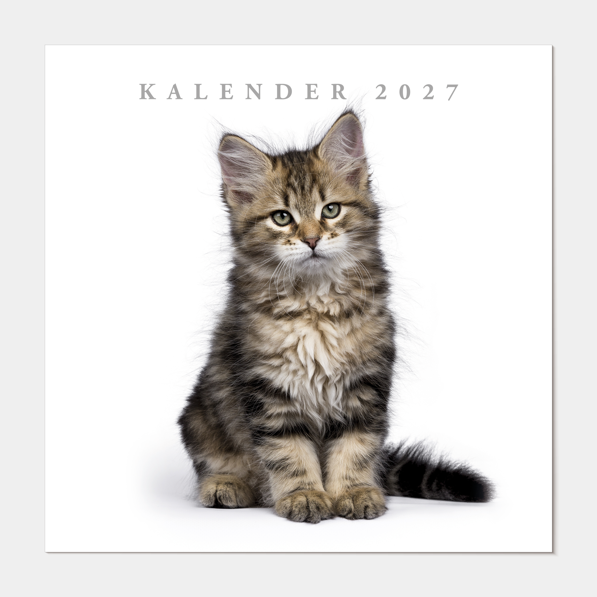 JAARKALENDER 2027 KATTEN