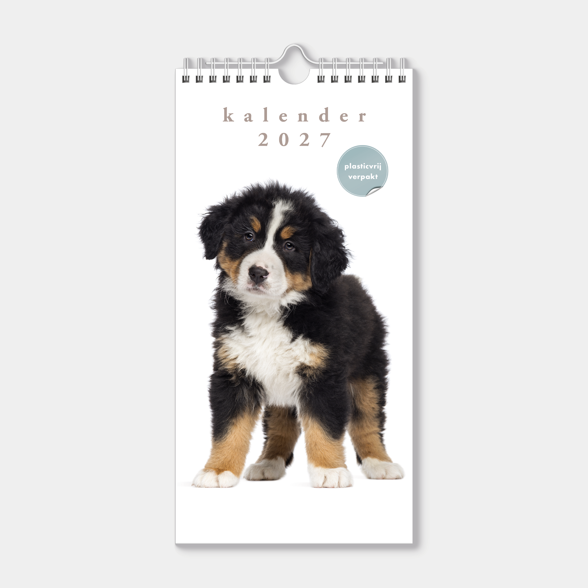 Hobbit - Minikalender - 2027 - Maandplanner - 30x15cm - Honden
