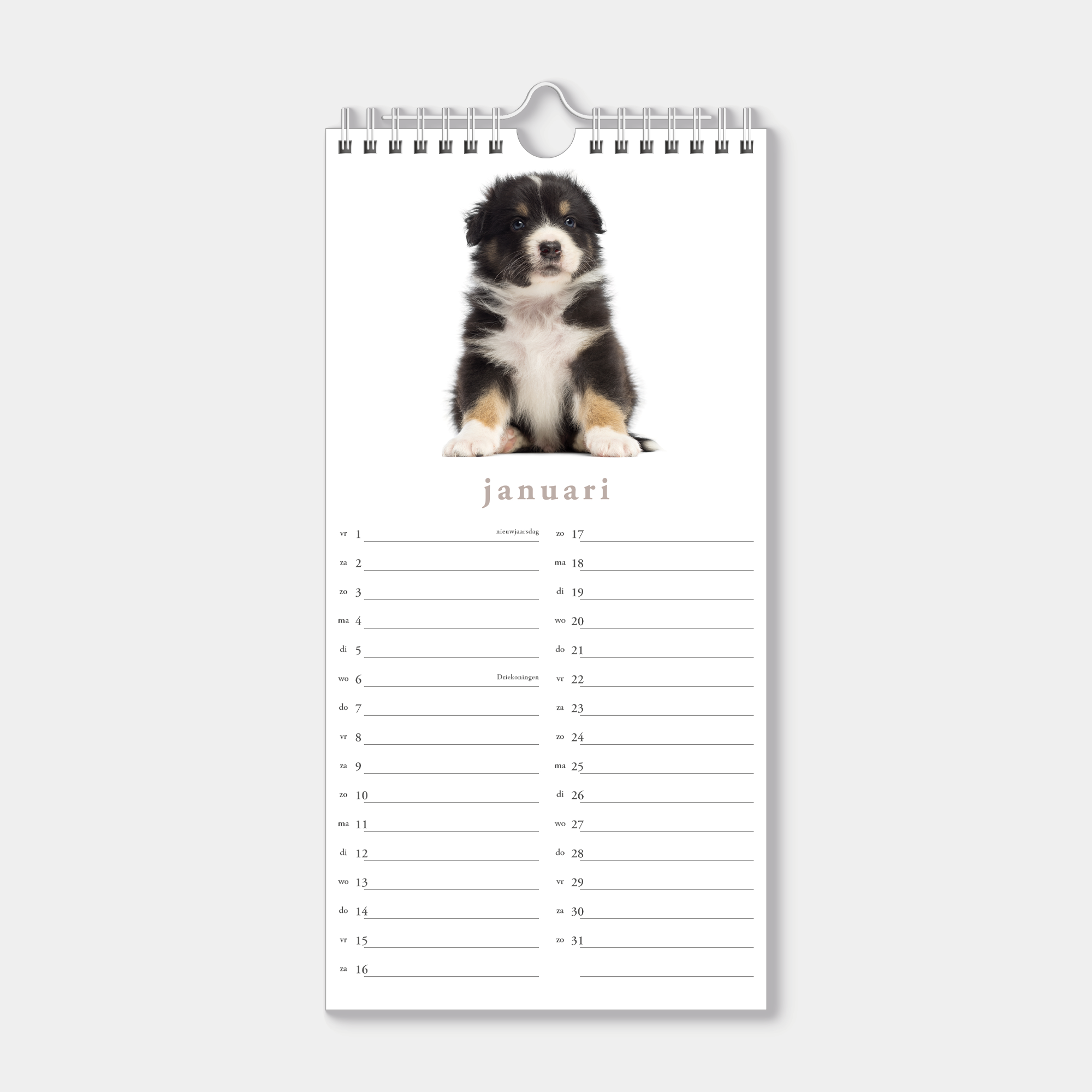 Hobbit - Minikalender - 2027 - Maandplanner - 30x15cm - Honden