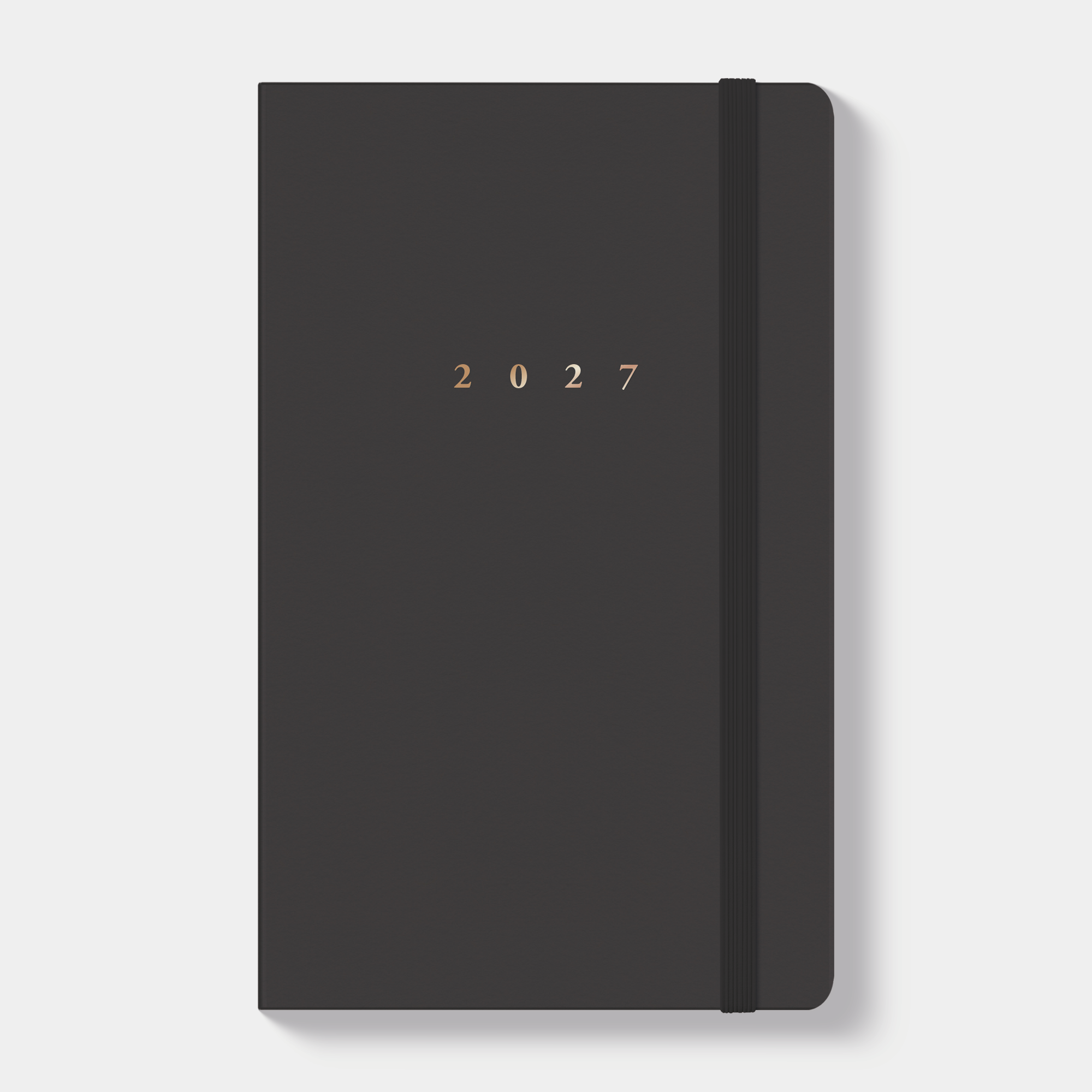 LUXE POCKET AGENDA 2027 ±A6 D2