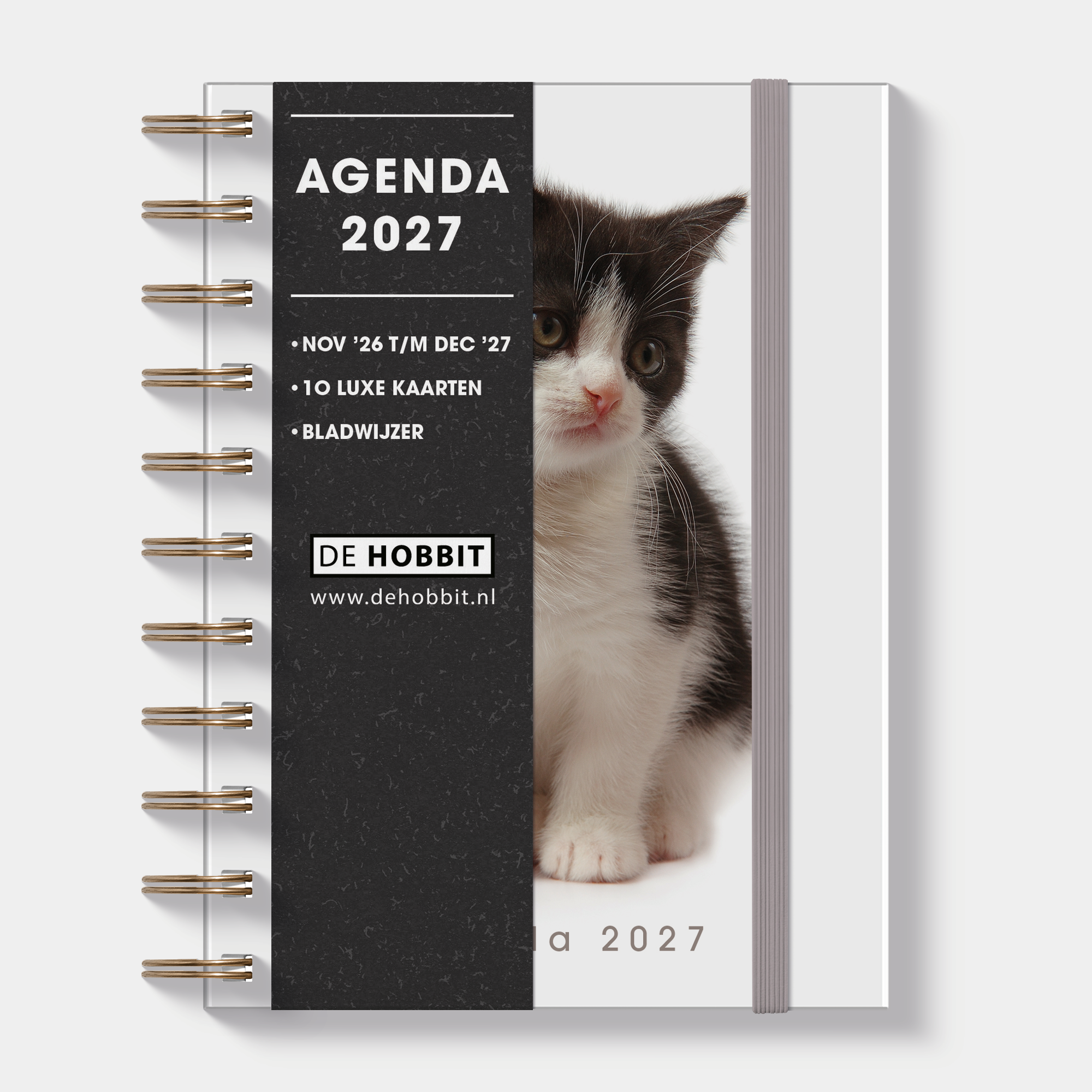 RINGBAND AGENDA 2027 A6 KATTEN