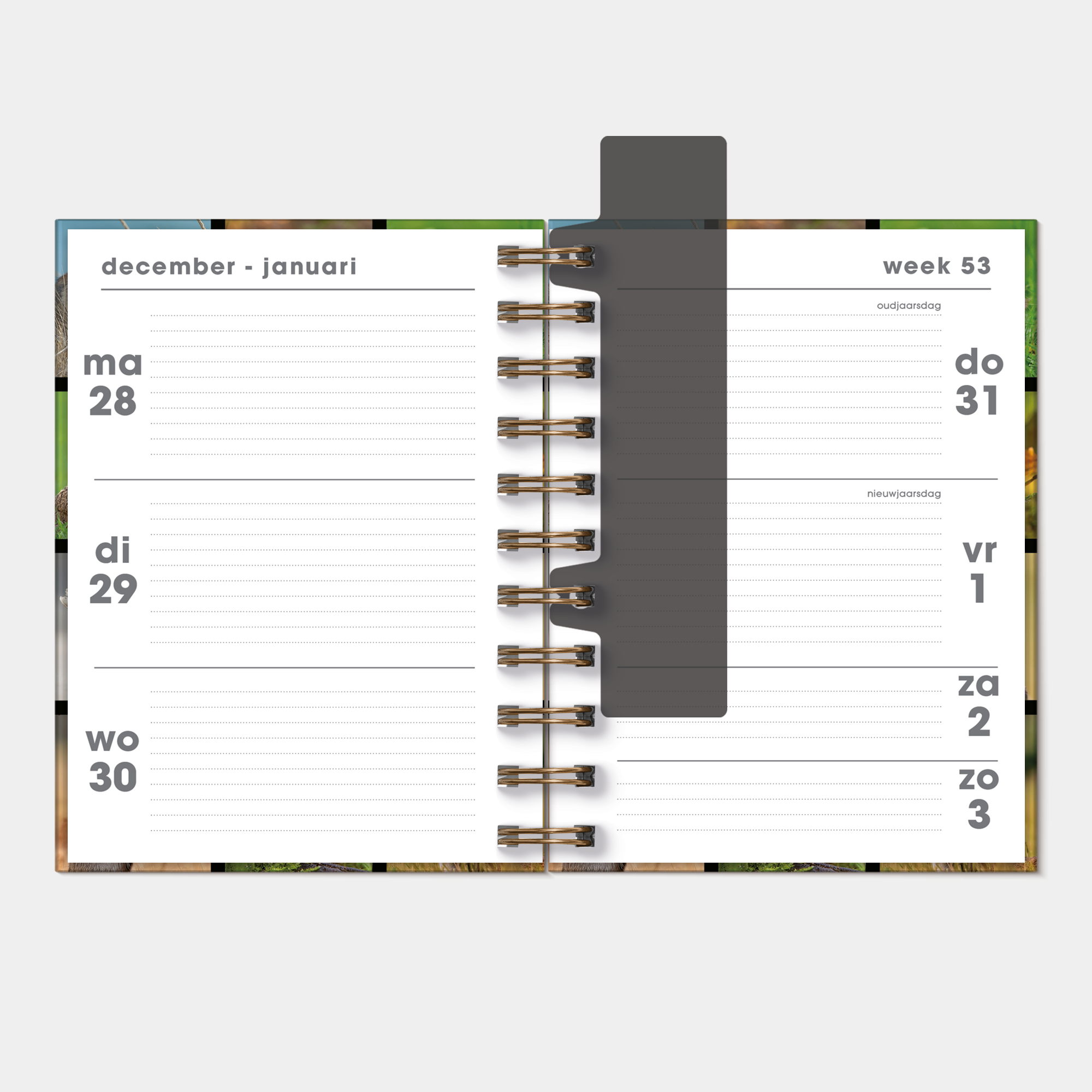 RINGBAND AGENDA 2027 A6 NATUUR