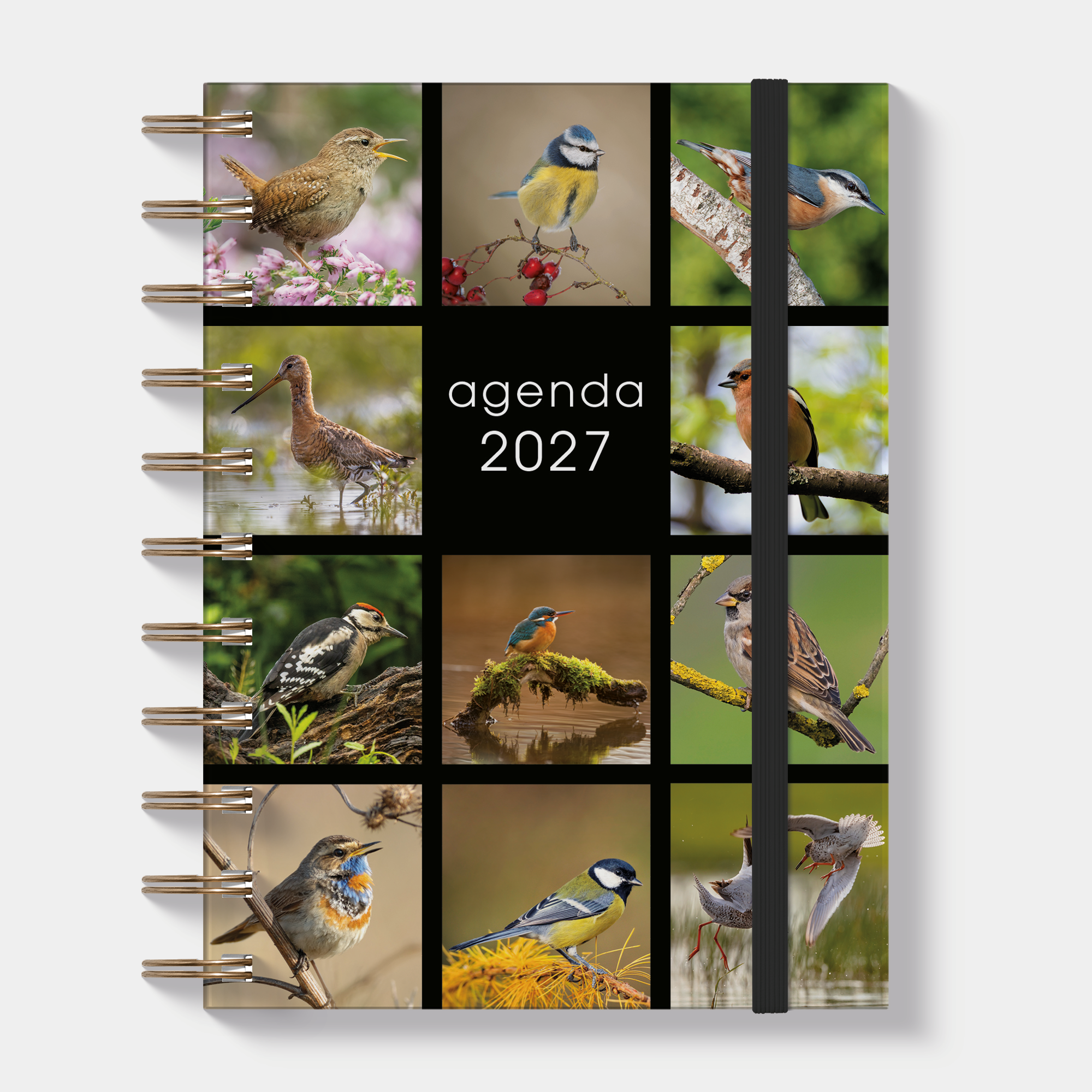 RINGBAND AGENDA 2027 A6 VOGELS