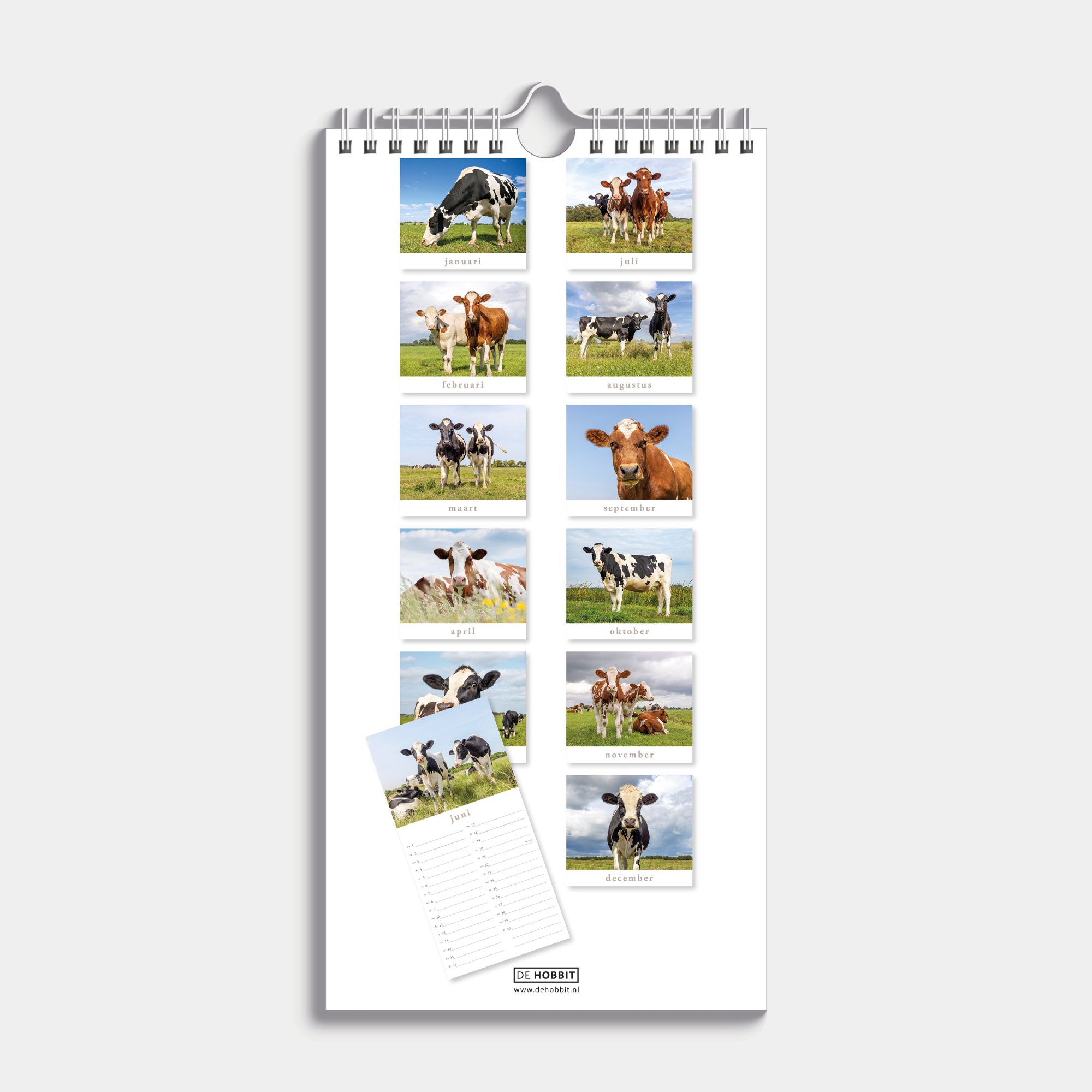 MINIKALENDER 2026 KOEIEN