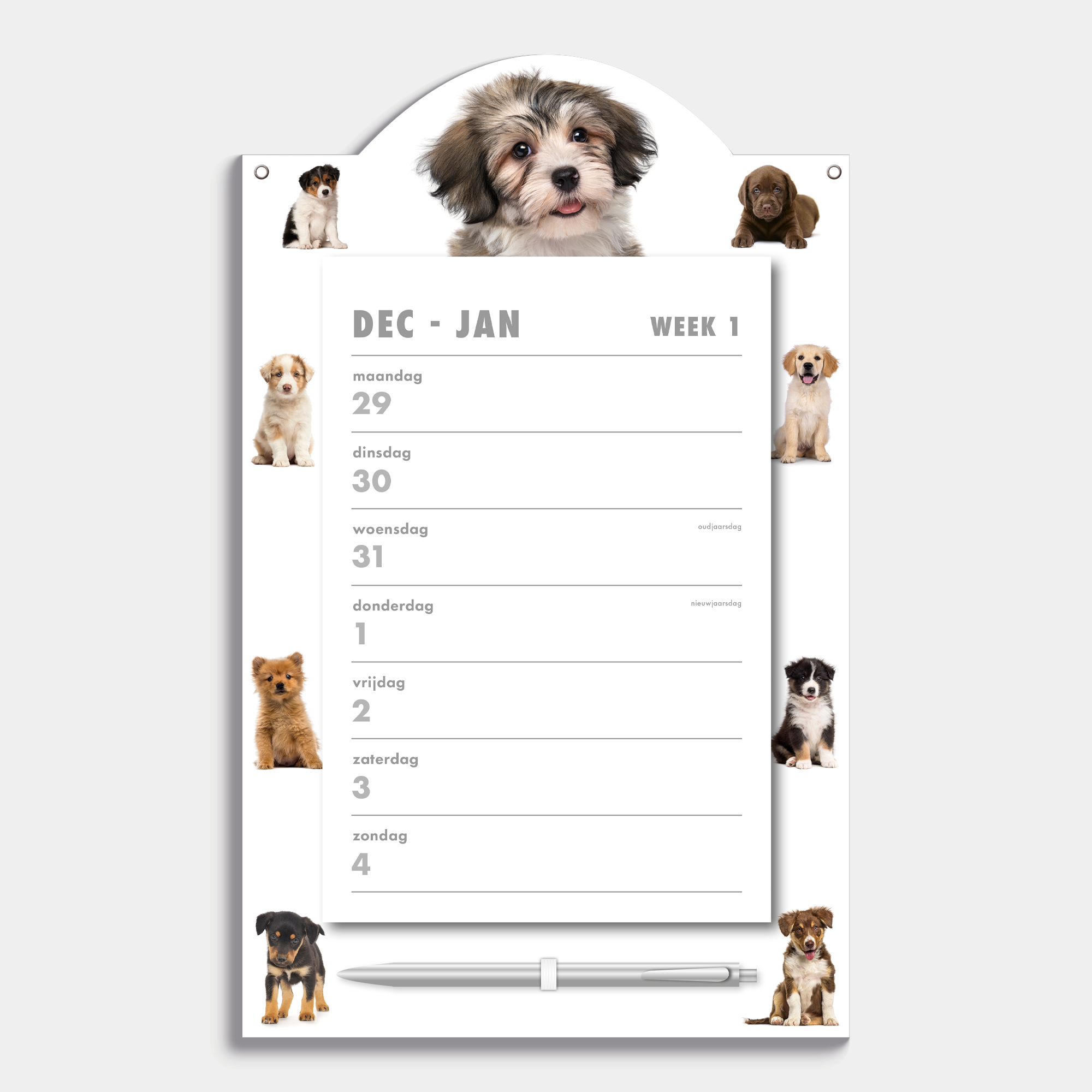 WEEKSCHEURKALENDER 2026 HONDEN