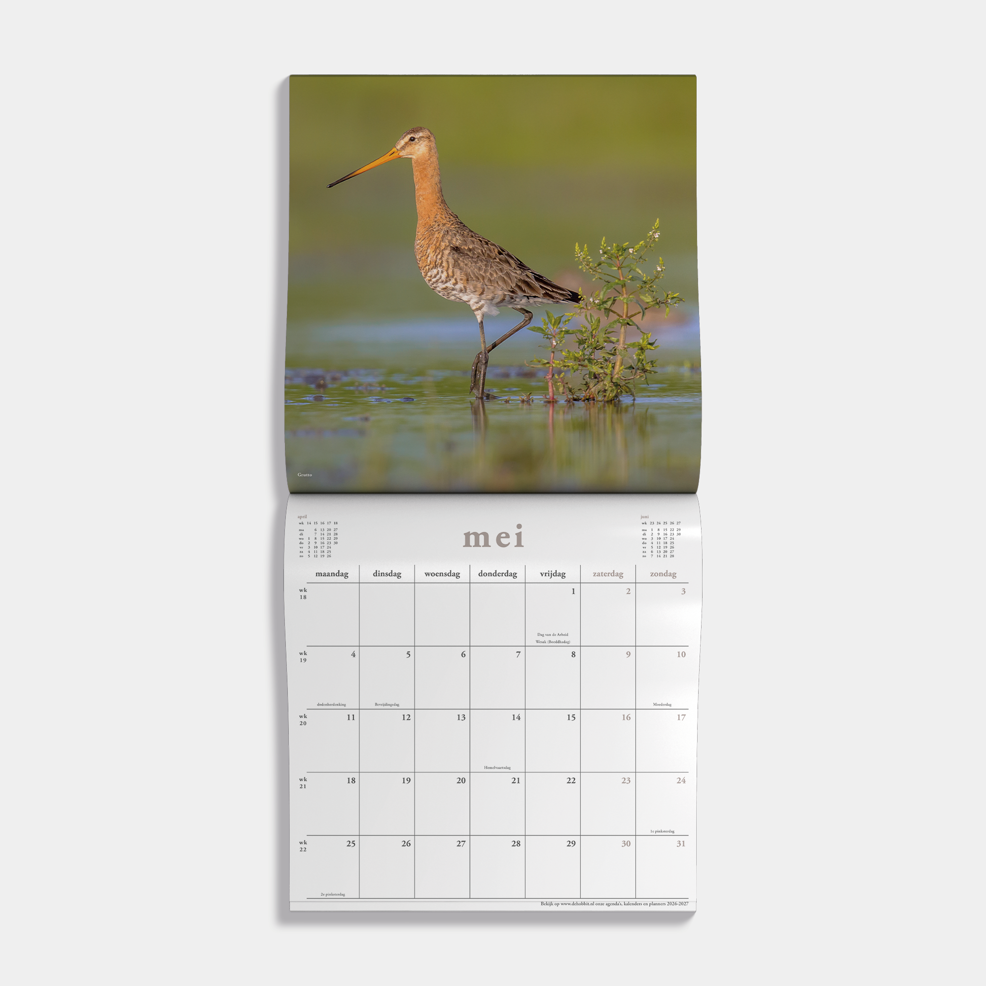JAARKALENDER 2026 VOGELS