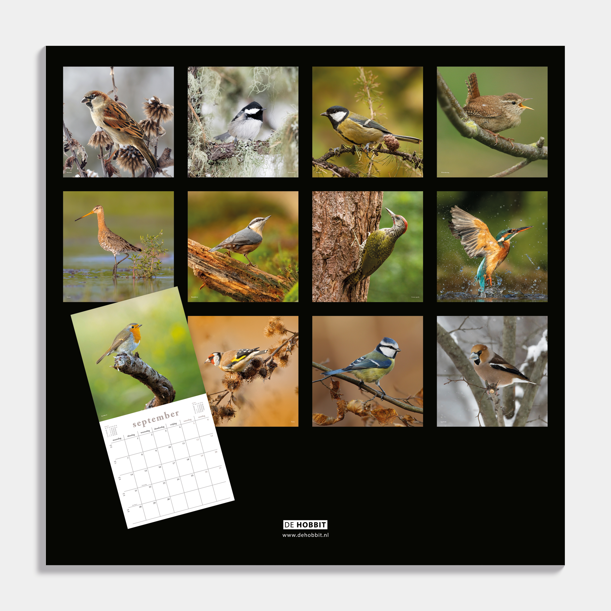 JAARKALENDER 2026 VOGELS