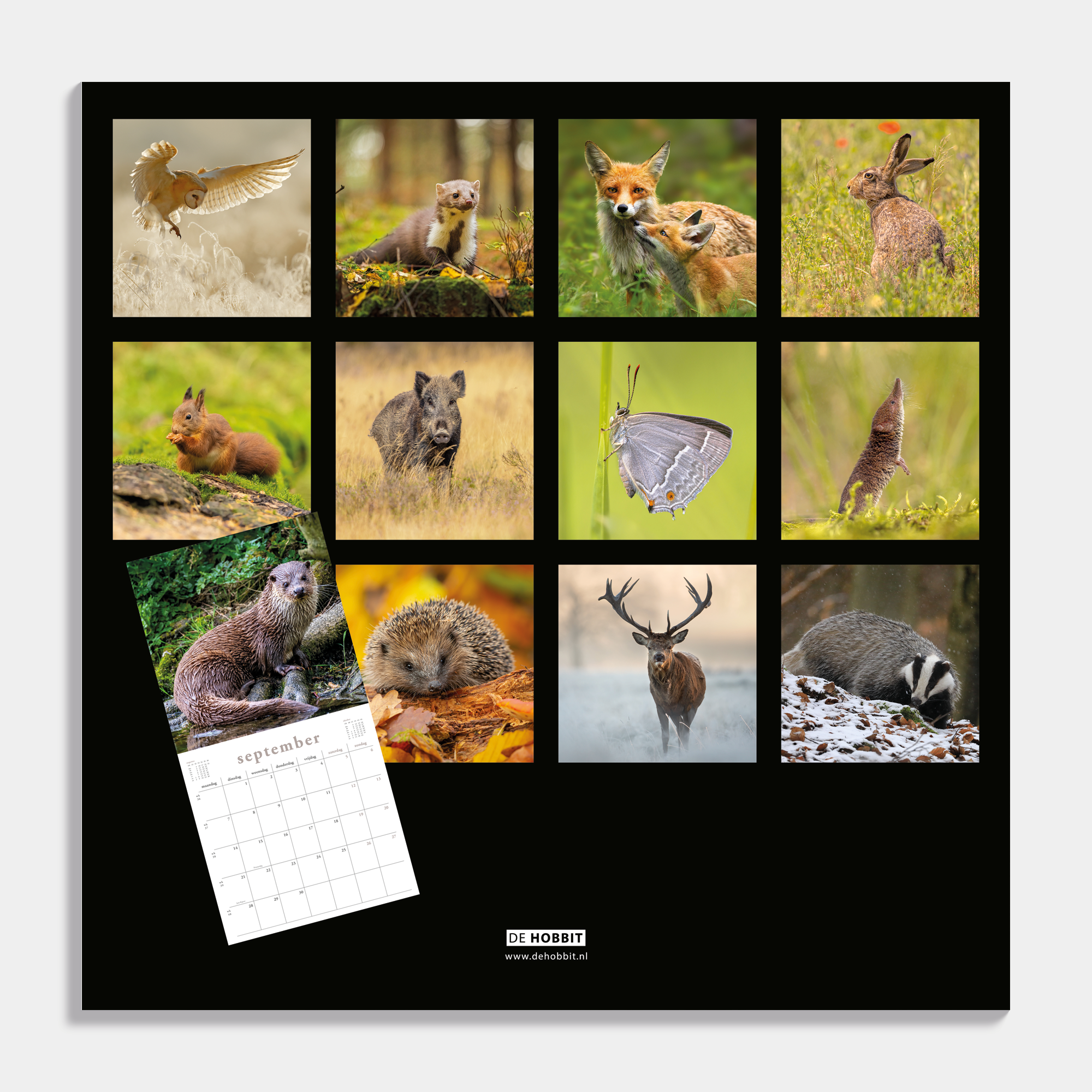 JAARKALENDER 2026 NATUUR