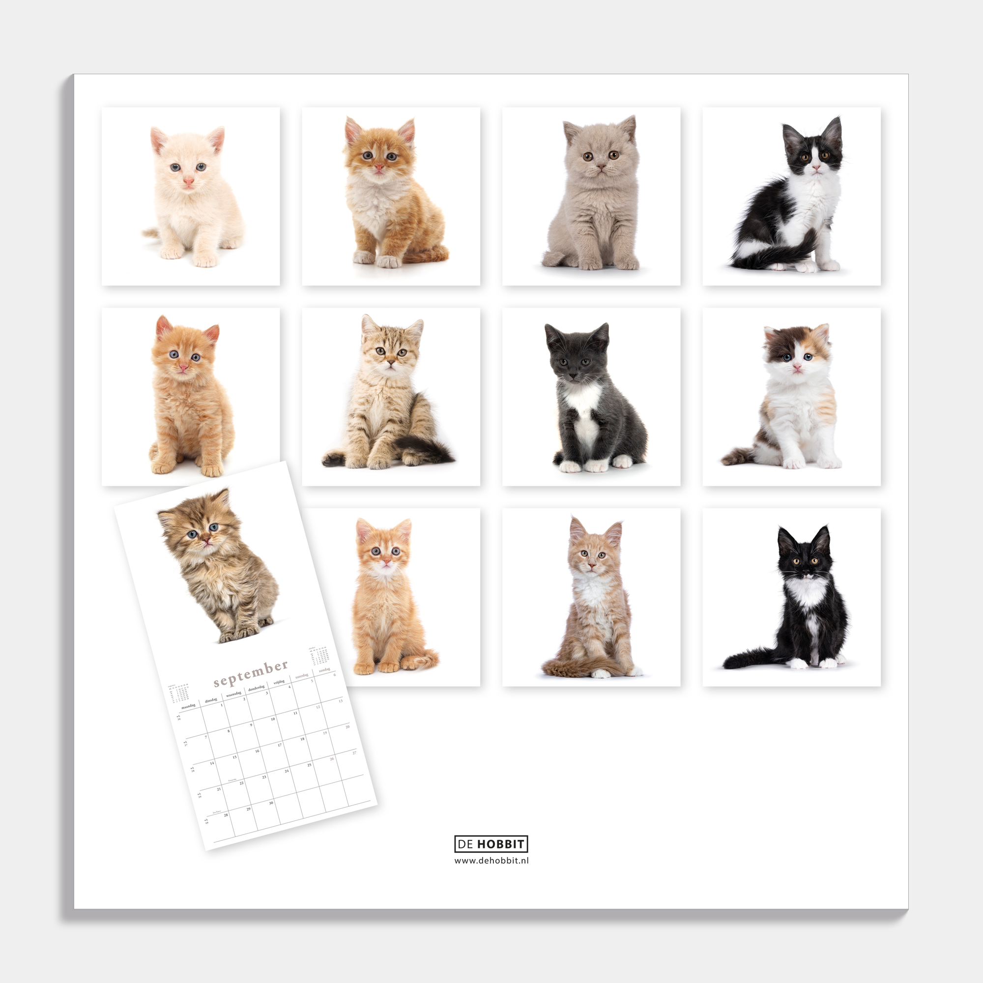 JAARKALENDER 2026 KATTEN