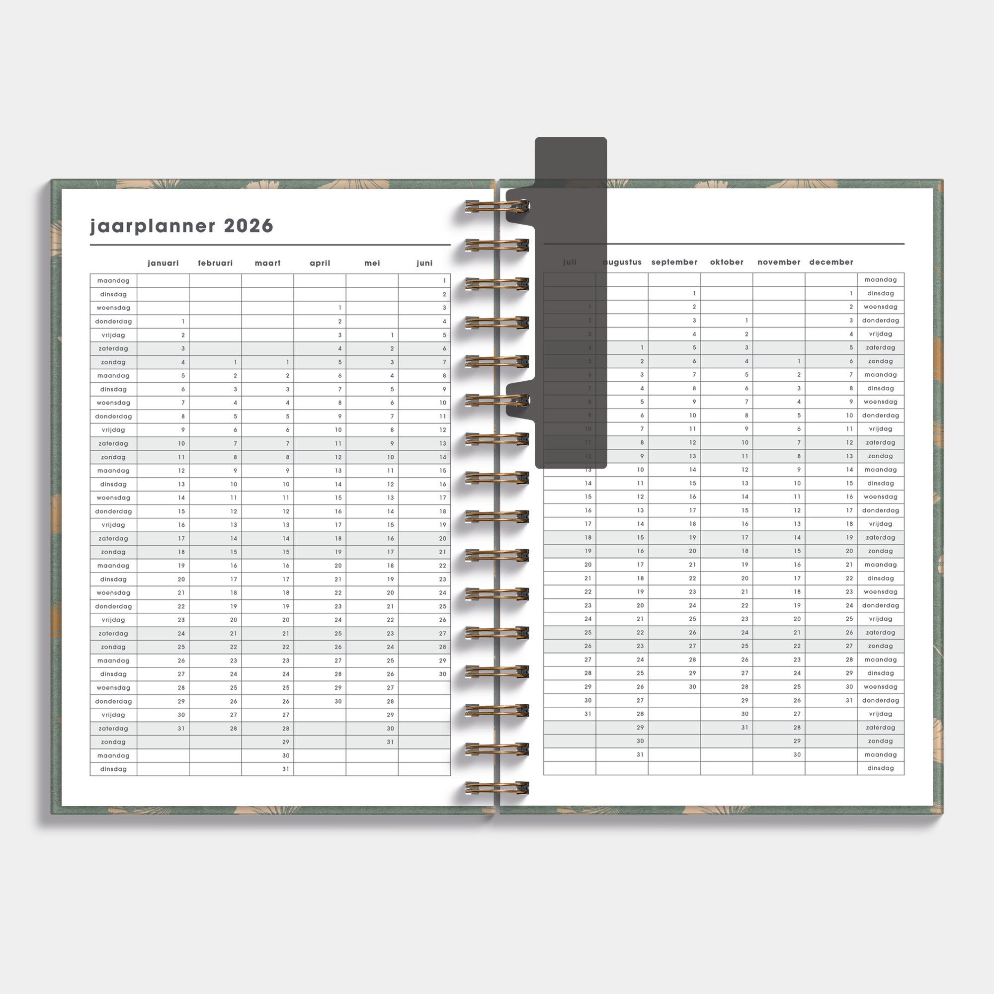 PLANNER 2026 A5 GINKGO GOUD