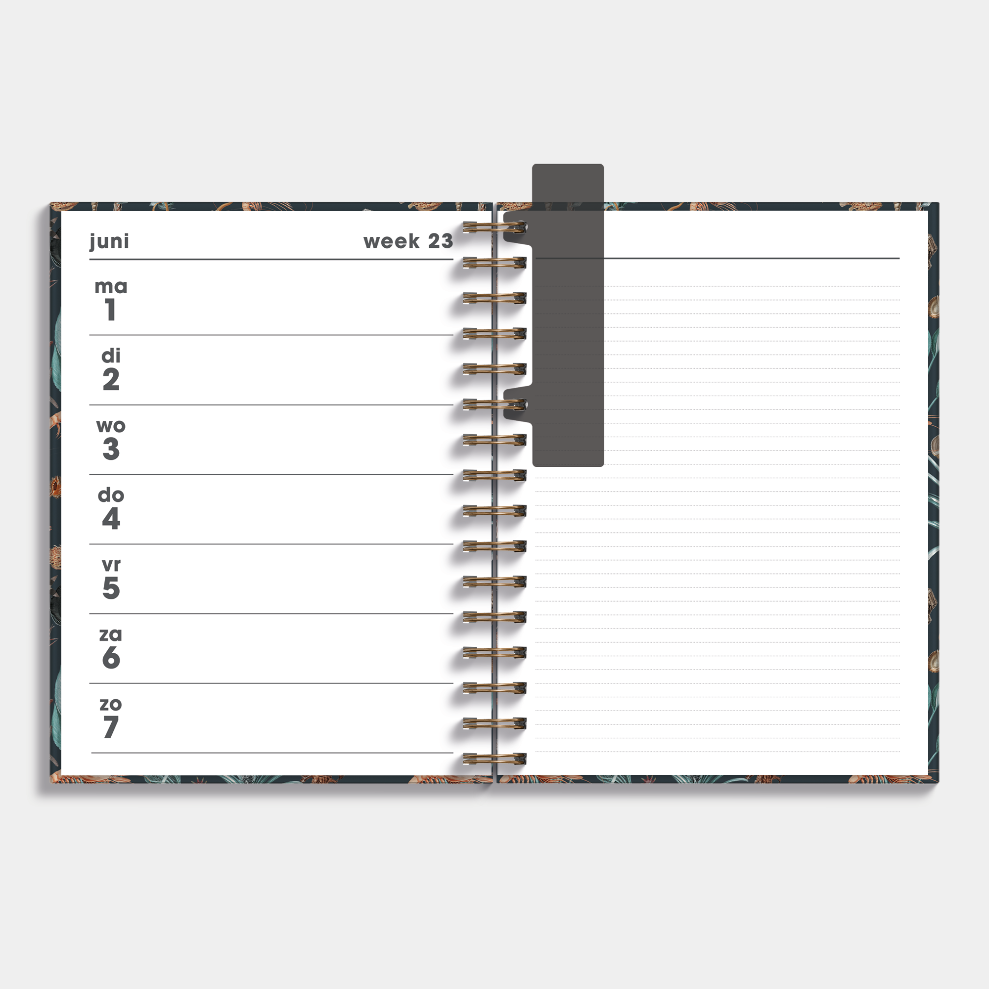 NOTITIEAGENDA 2026-2027 ±A4 OCEAAN