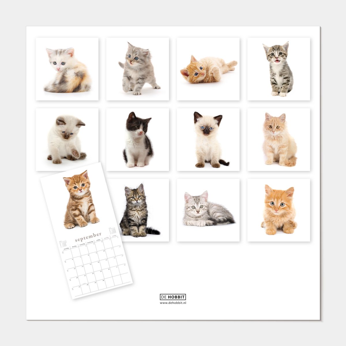 Jaarkalender 2027 met foto's van katten – achteraanzicht.