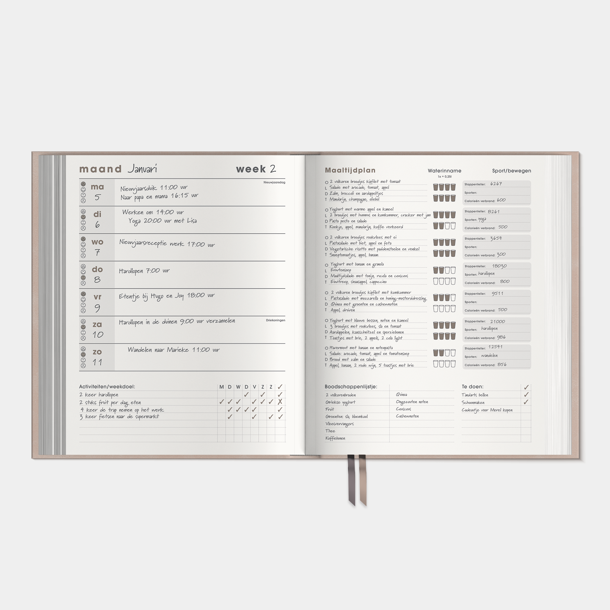 LEEFSTIJLPLANNER UNDATED A5+ SUEDELOOK OUDROZE