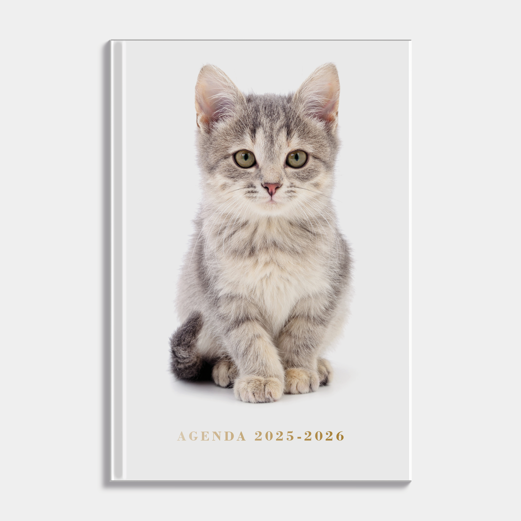 Katten agenda 2025-2026 met foto van lieve kat en harde cover – vooraanzicht.