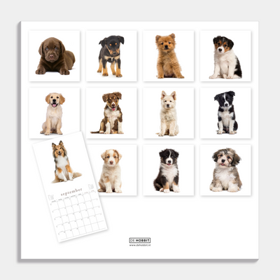 Jaarkalender 2026 met foto's van honden – achteraanzicht.