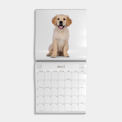 Jaarkalender 2026 met foto's van honden – binnenwerk met maandoverzicht.