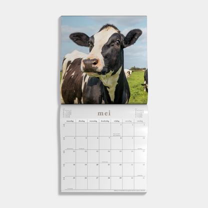 Jaarkalender 2026 met foto's van koeien –binnenwerk met maandoverzicht.