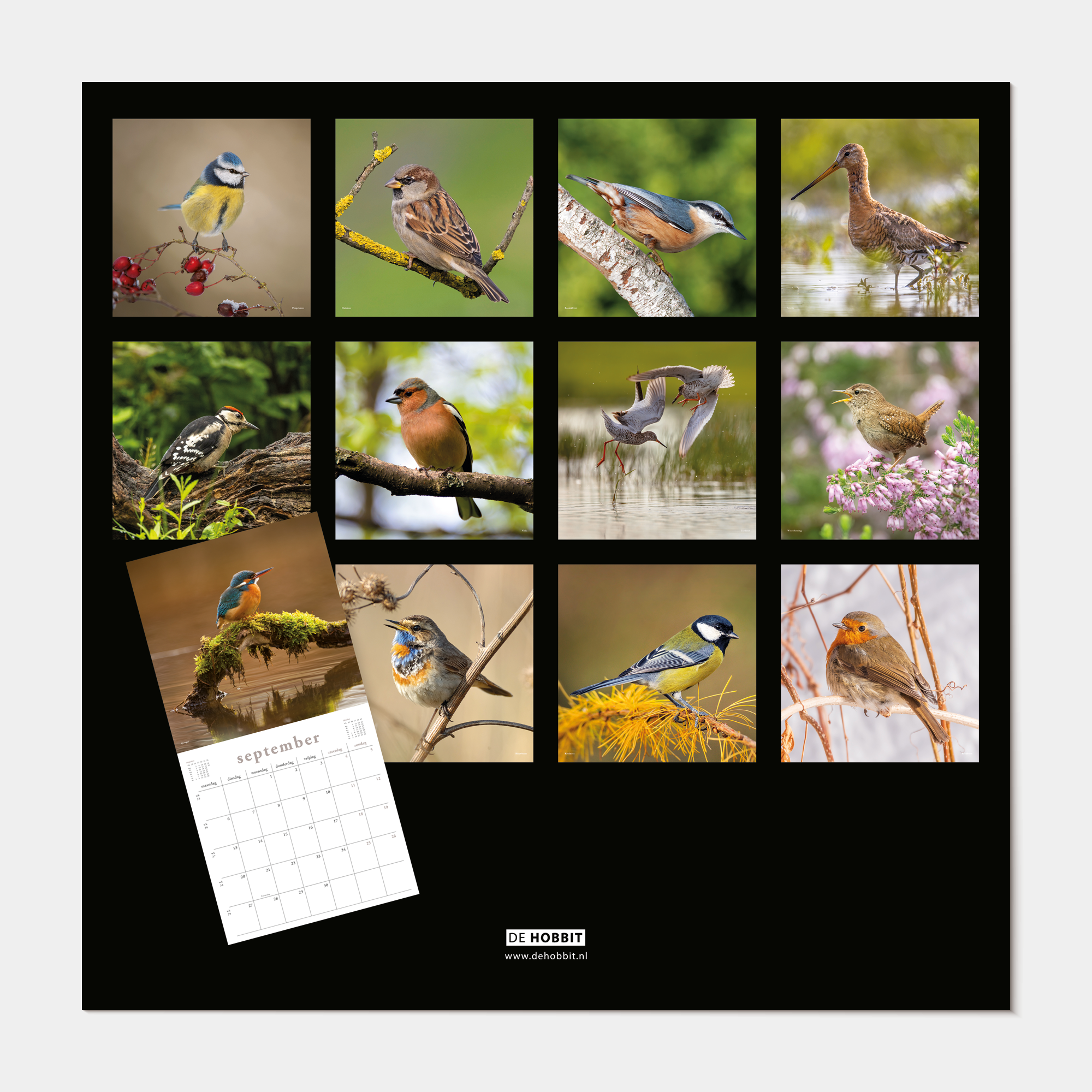 JAARKALENDER 2027 VOGELS