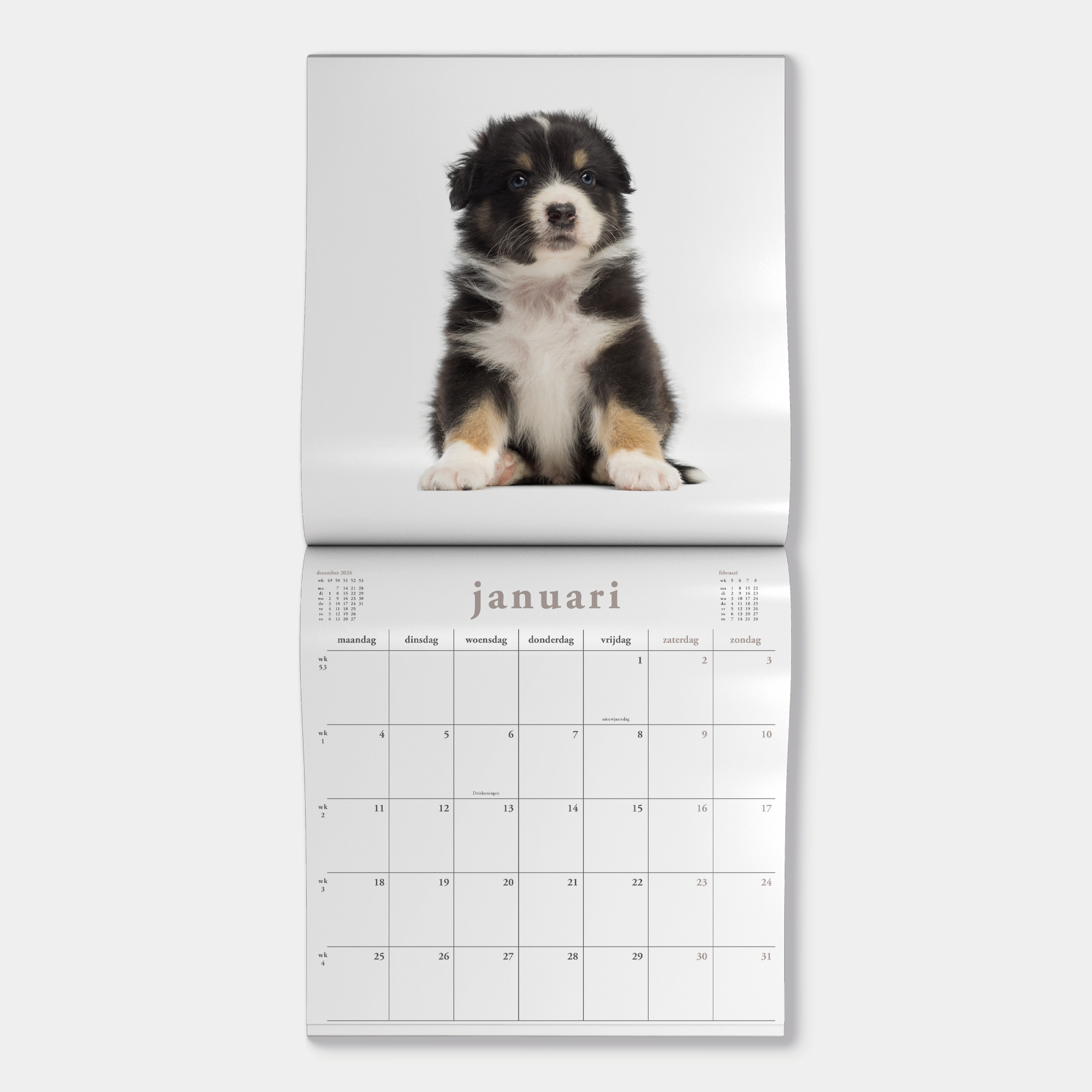 JAARKALENDER 2027 HONDEN