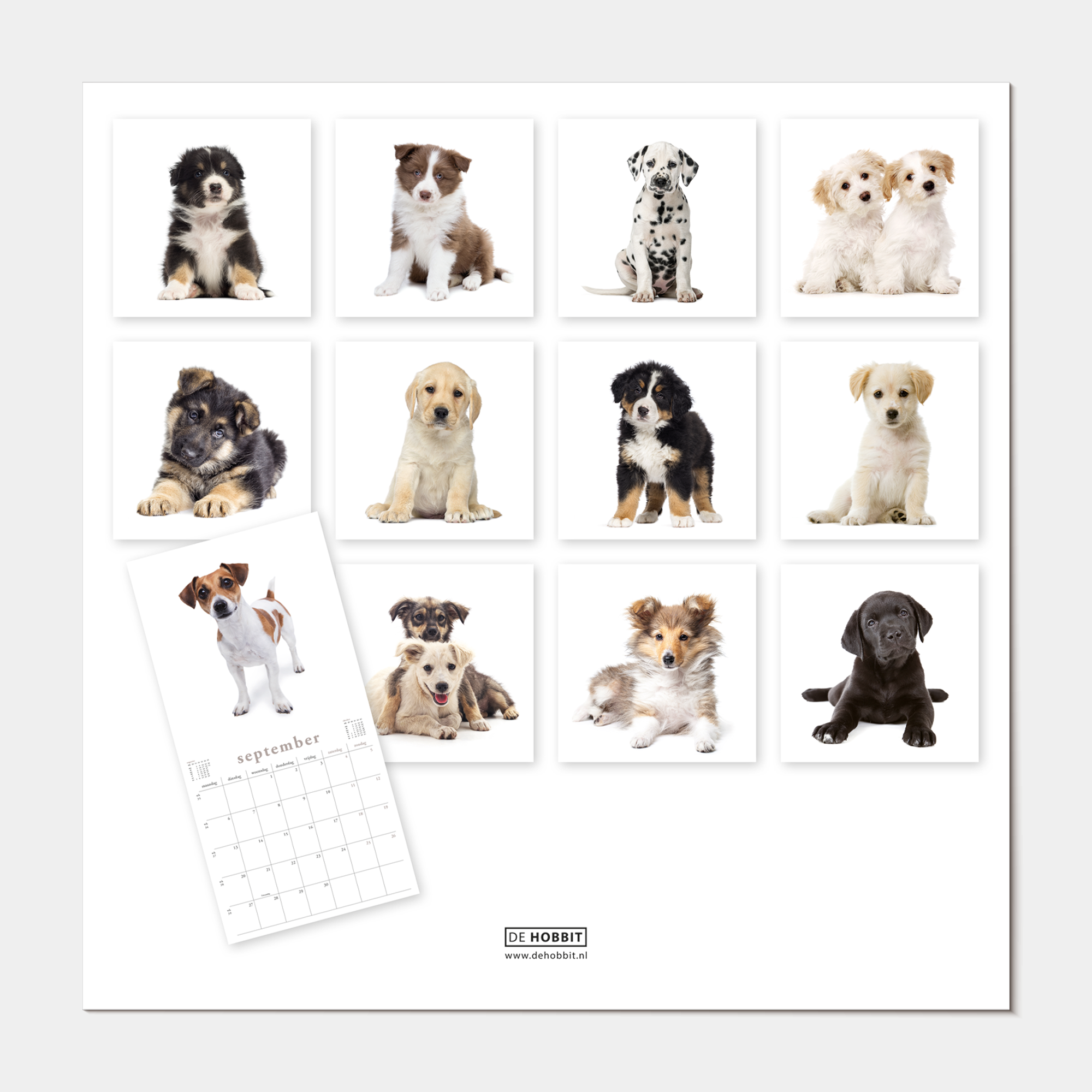 JAARKALENDER 2027 HONDEN