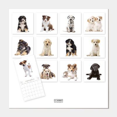JAARKALENDER 2027 HONDEN