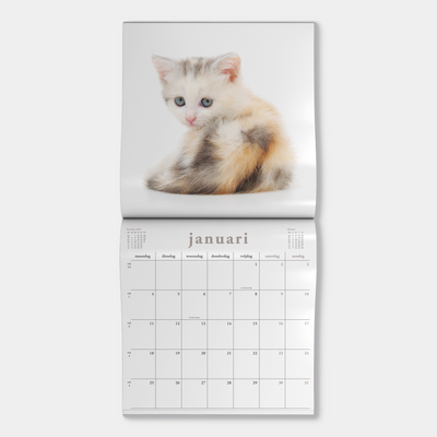 JAARKALENDER 2027 KATTEN
