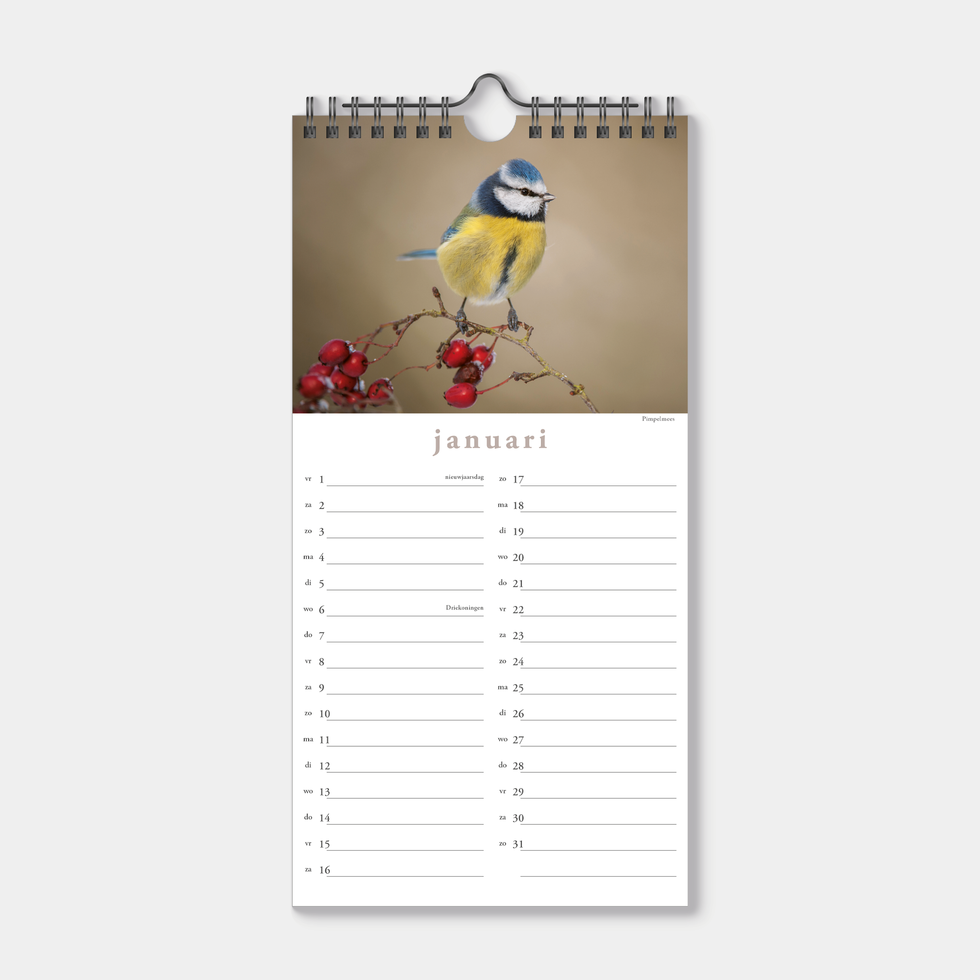 MINIKALENDER 2027 VOGELS