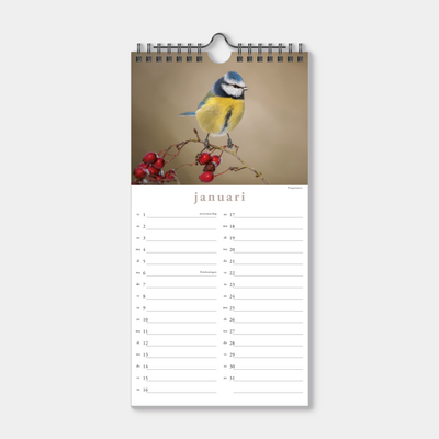 MINIKALENDER 2027 VOGELS