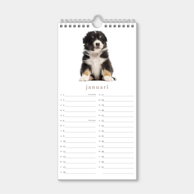 Hobbit - Minikalender - 2027 - Maandplanner - 30x15cm - Honden