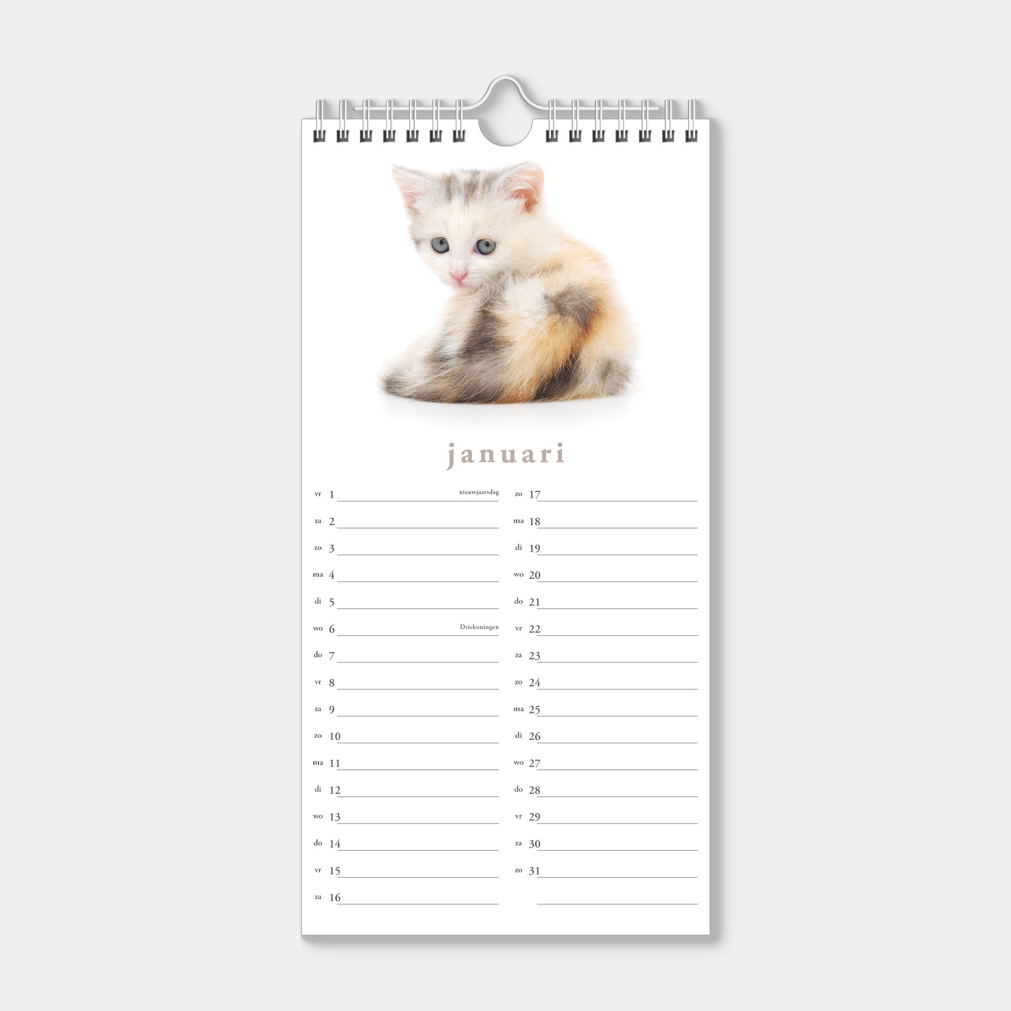 Hobbit - Minikalender - 2027 - Maandplanner - 30x15cm - Katten