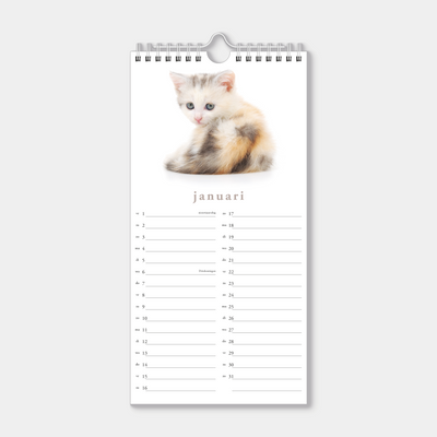 Hobbit - Minikalender - 2027 - Maandplanner - 30x15cm - Katten