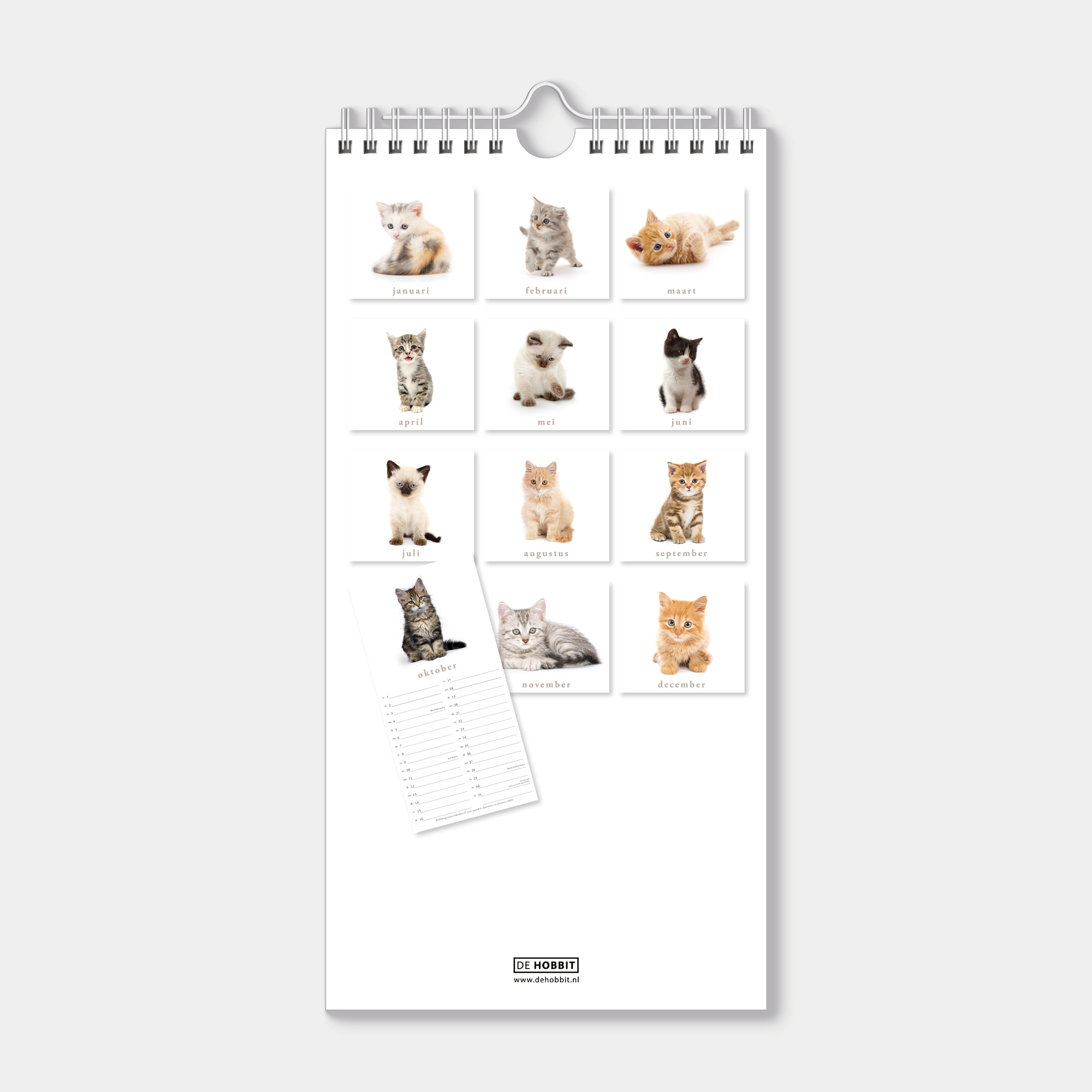 Hobbit - Minikalender - 2027 - Maandplanner - 30x15cm - Katten