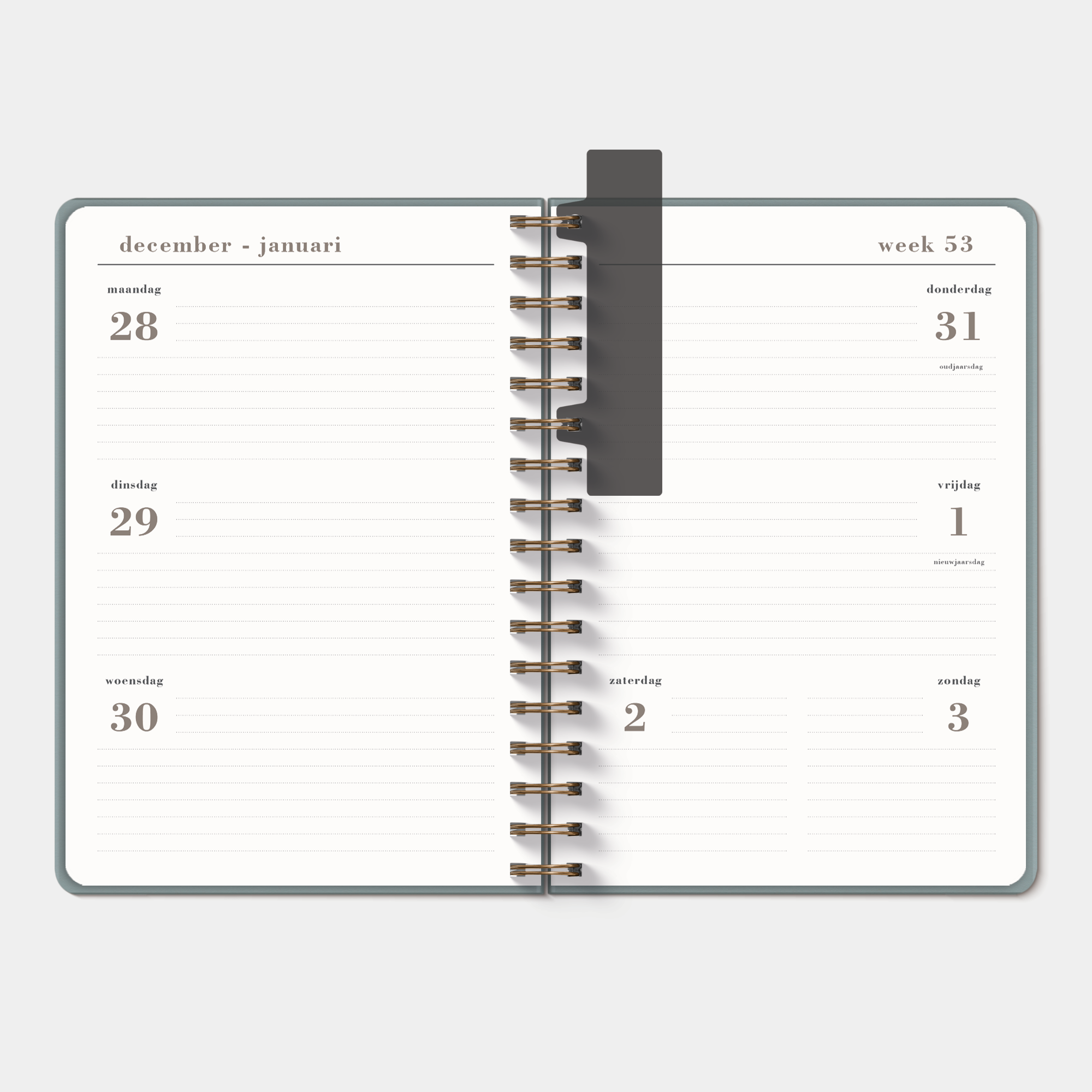 AGENDA LUXE A5 D2