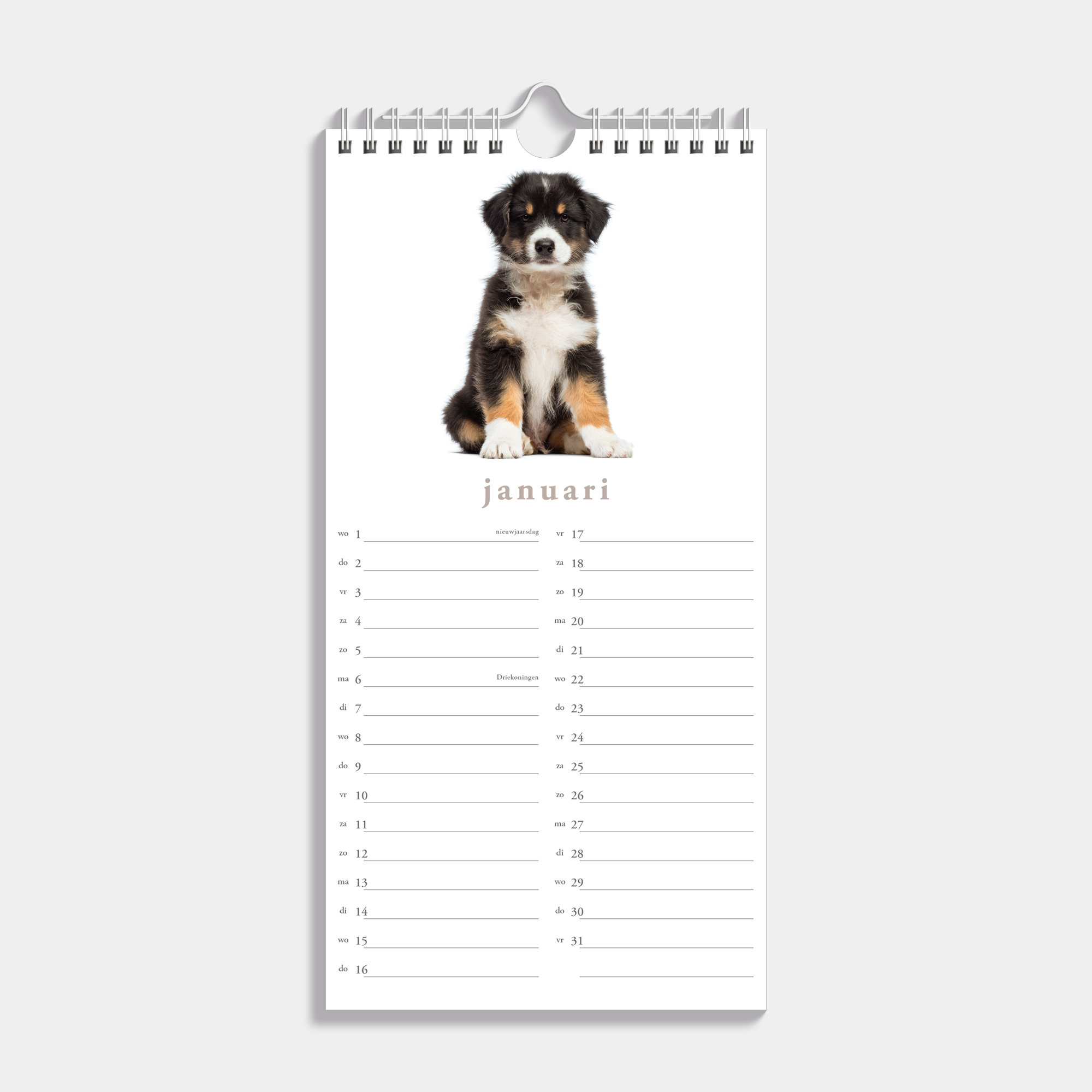 MINIKALENDER 2025 30X15 HONDEN