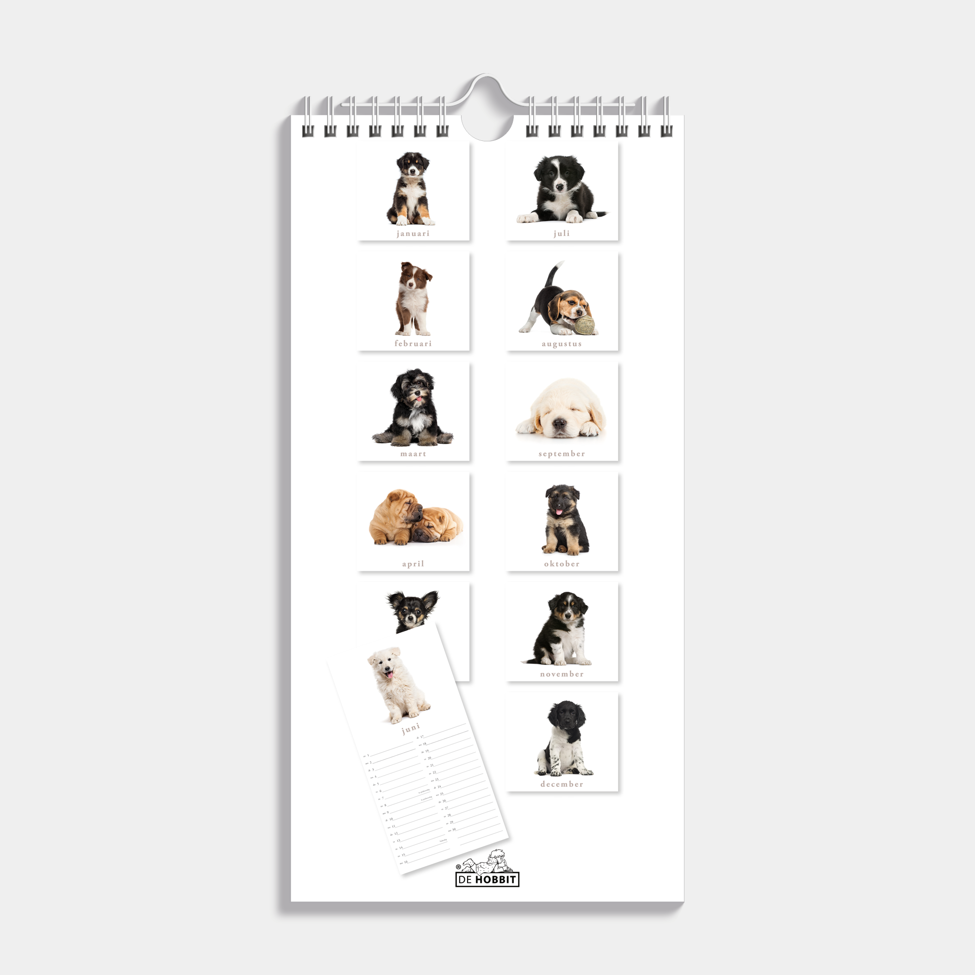 MINIKALENDER 2025 30X15 HONDEN