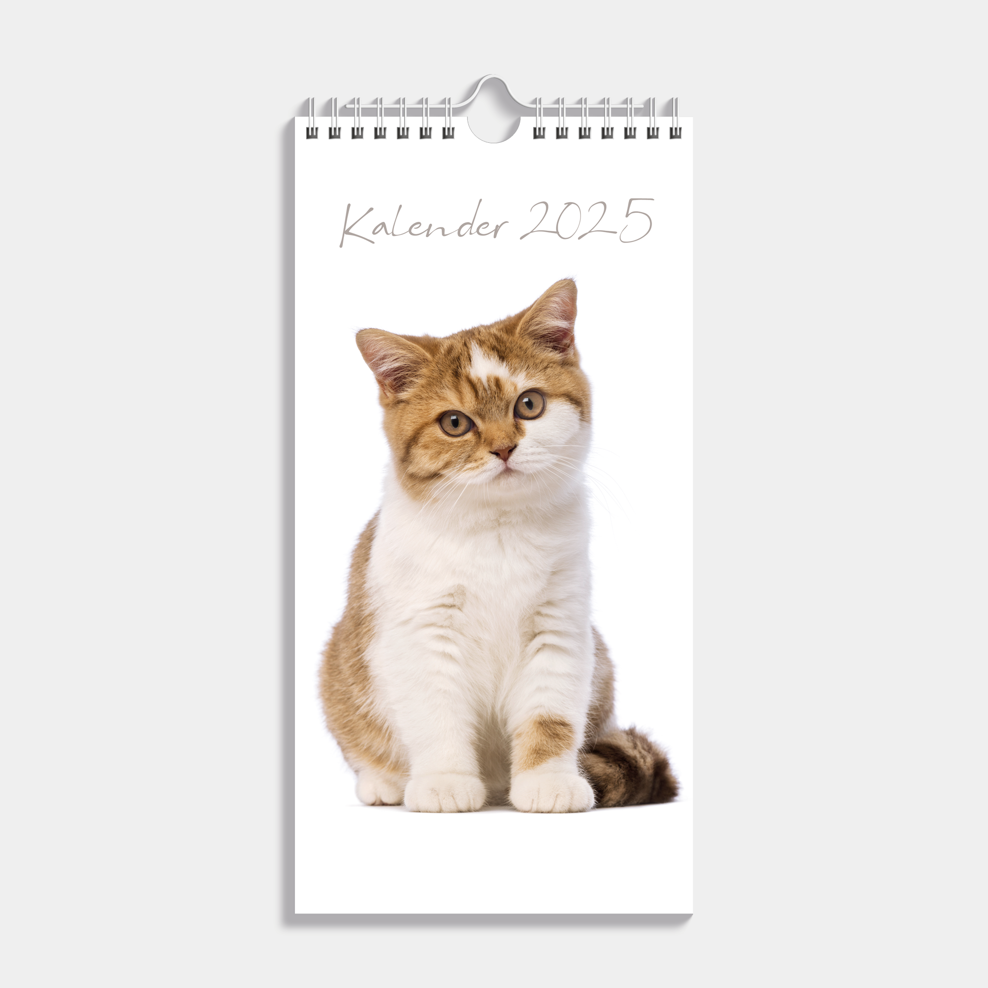 MINIKALENDER 2025 30X15 KATTEN