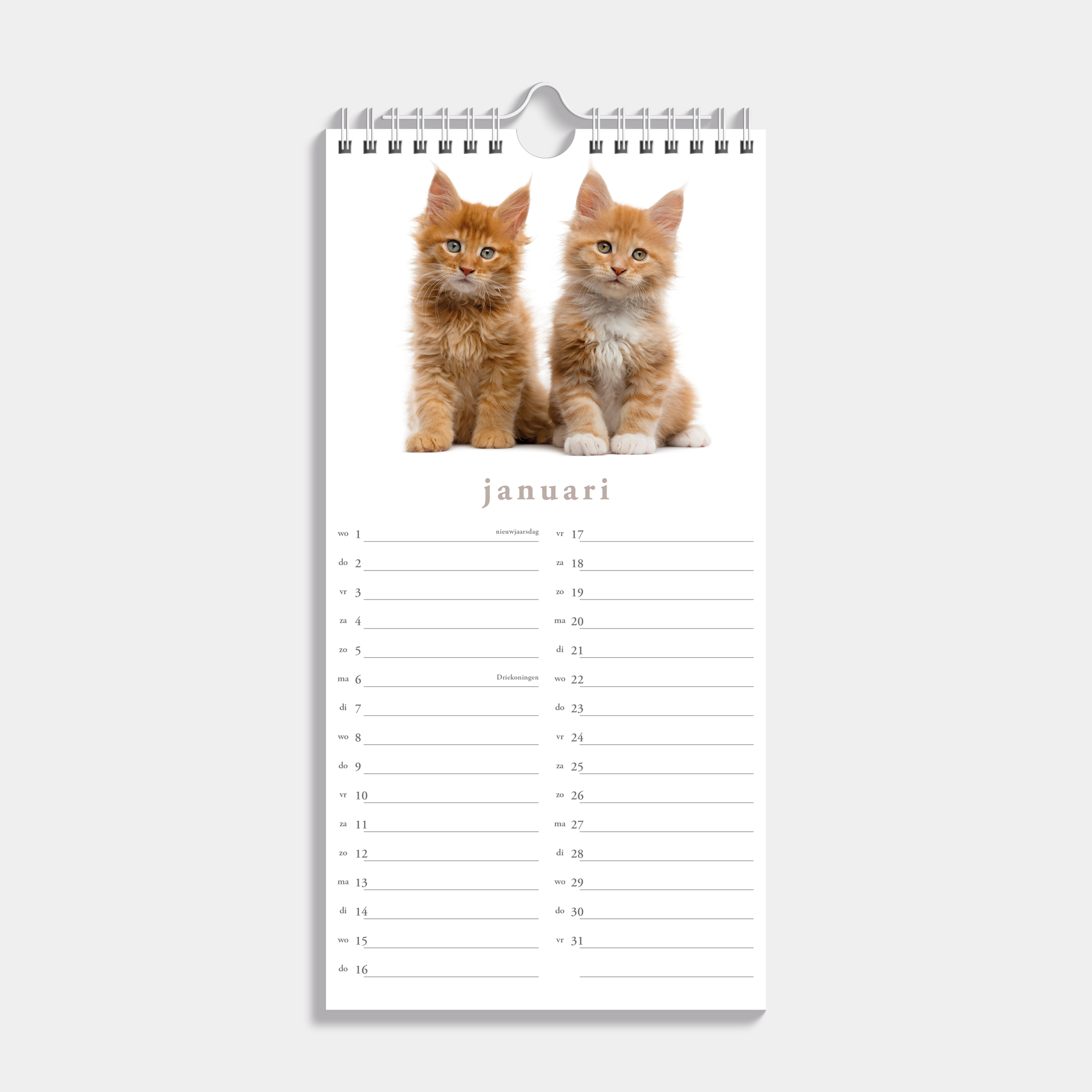 MINIKALENDER 2025 30X15 KATTEN