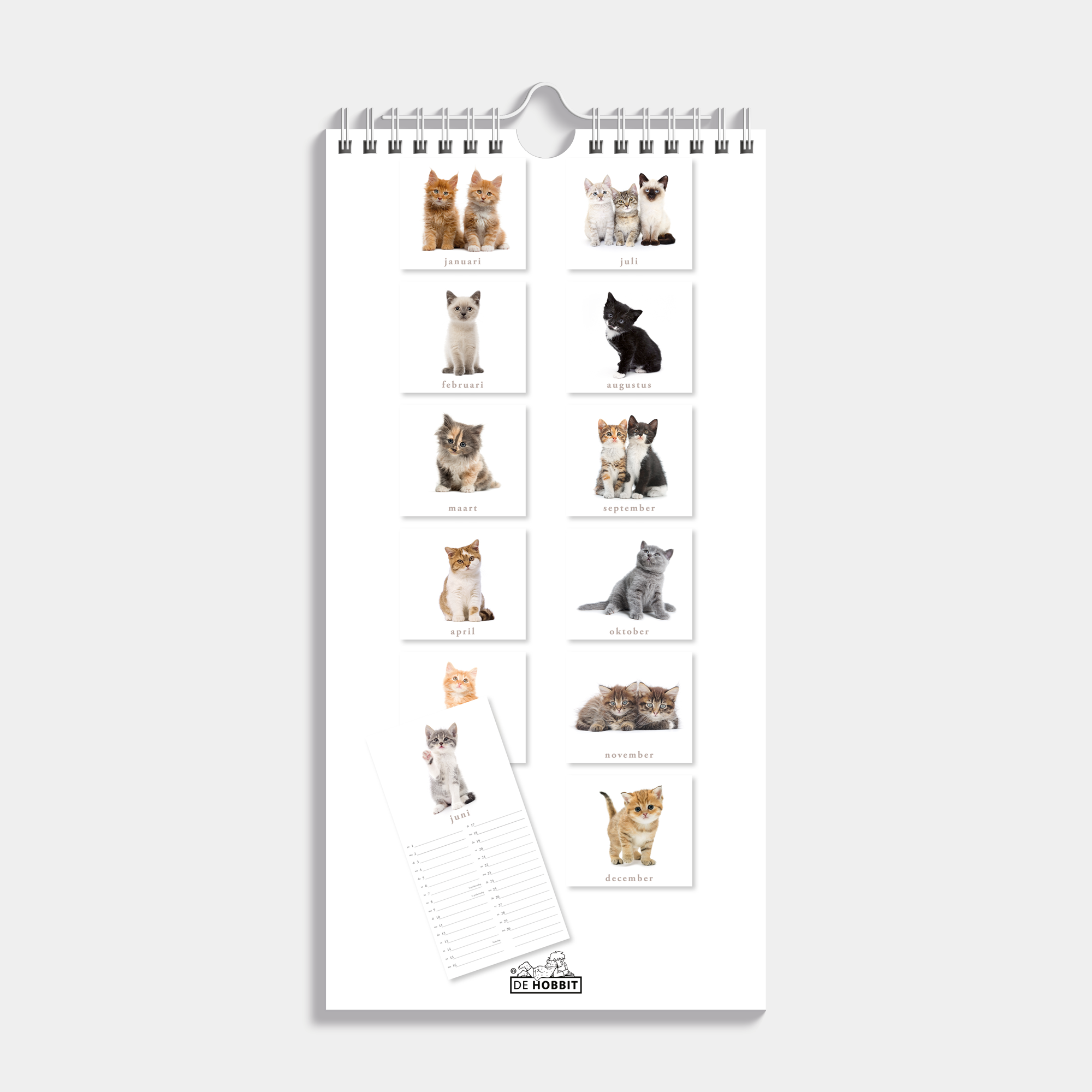 MINIKALENDER 2025 30X15 KATTEN