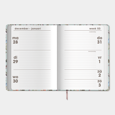 SOFT POCKET AGENDA 2027 A6 D2