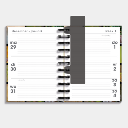 RINGBAND AGENDA 2026 A6 NATUUR