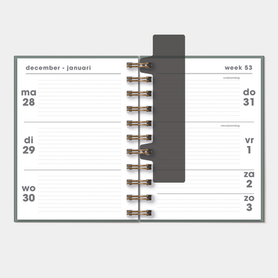RINGBAND AGENDA 2027 A6 SPIRAAL D1