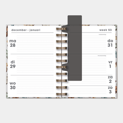 RINGBAND AGENDA 2027 A6 SPIRAAL D5