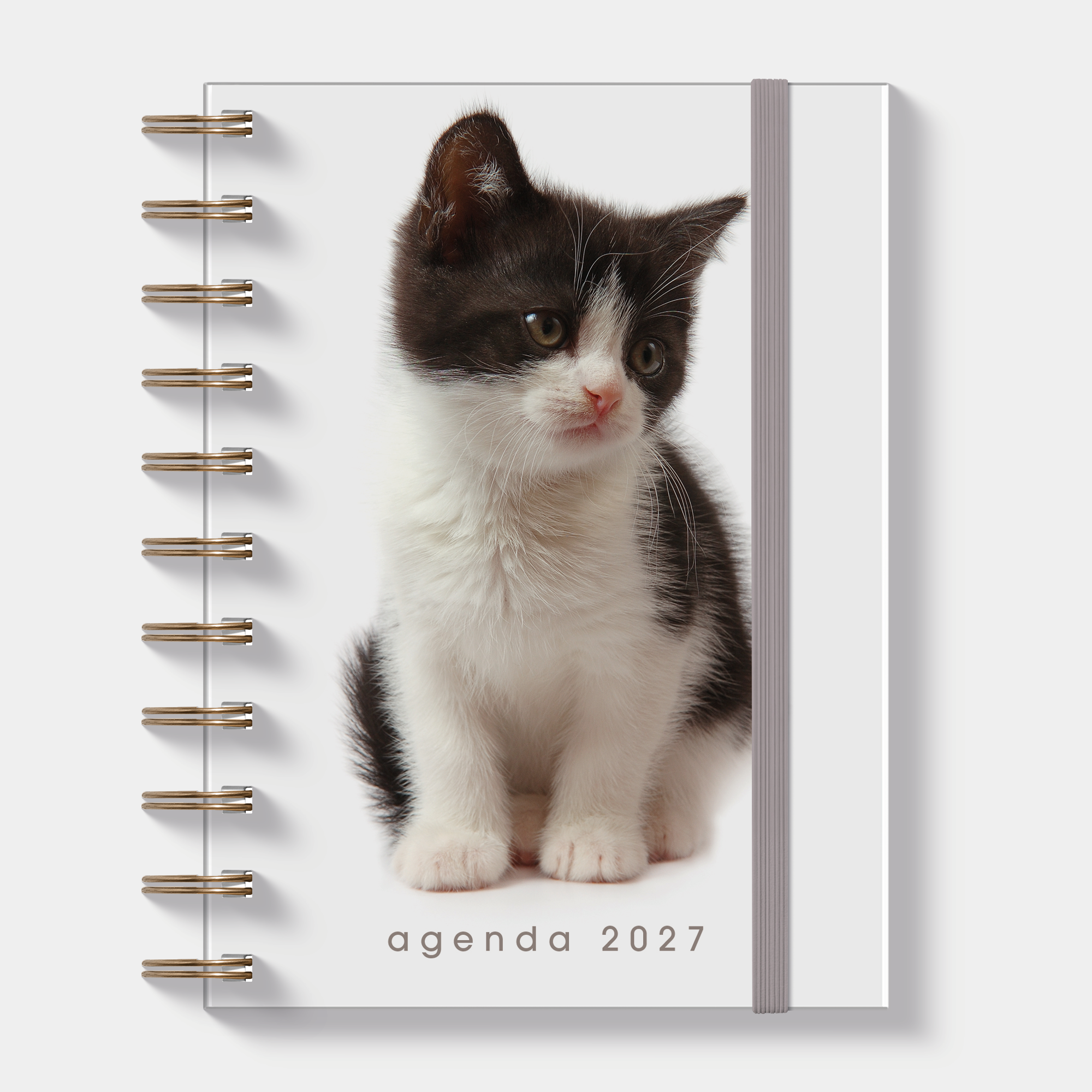 RINGBAND AGENDA 2027 A6 KATTEN