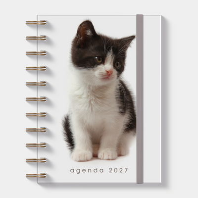 RINGBAND AGENDA 2027 A6 KATTEN