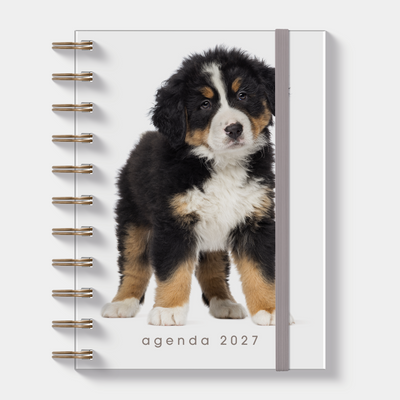 RINGBAND AGENDA 2027 A6 HONDEN