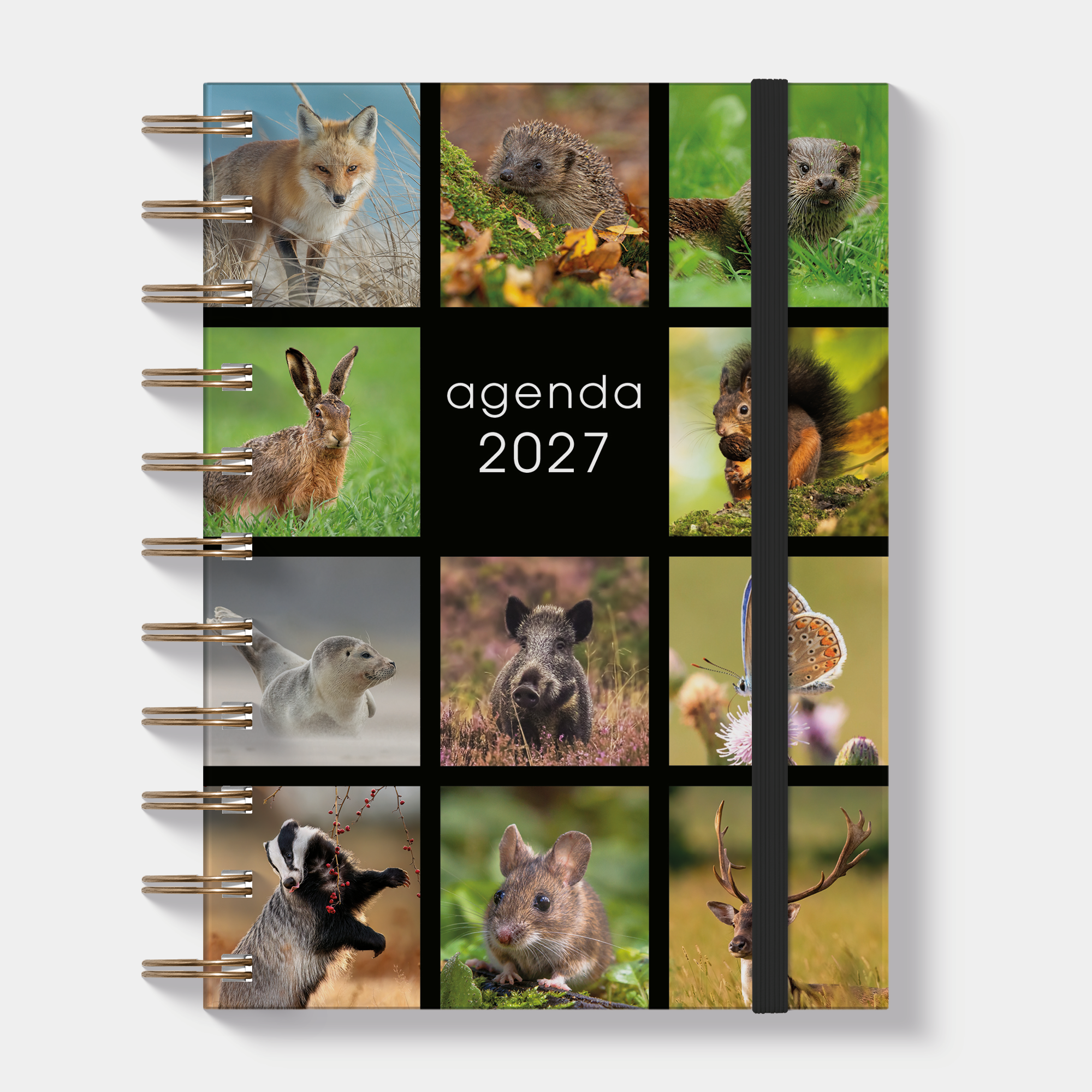 RINGBAND AGENDA 2027 A6 NATUUR