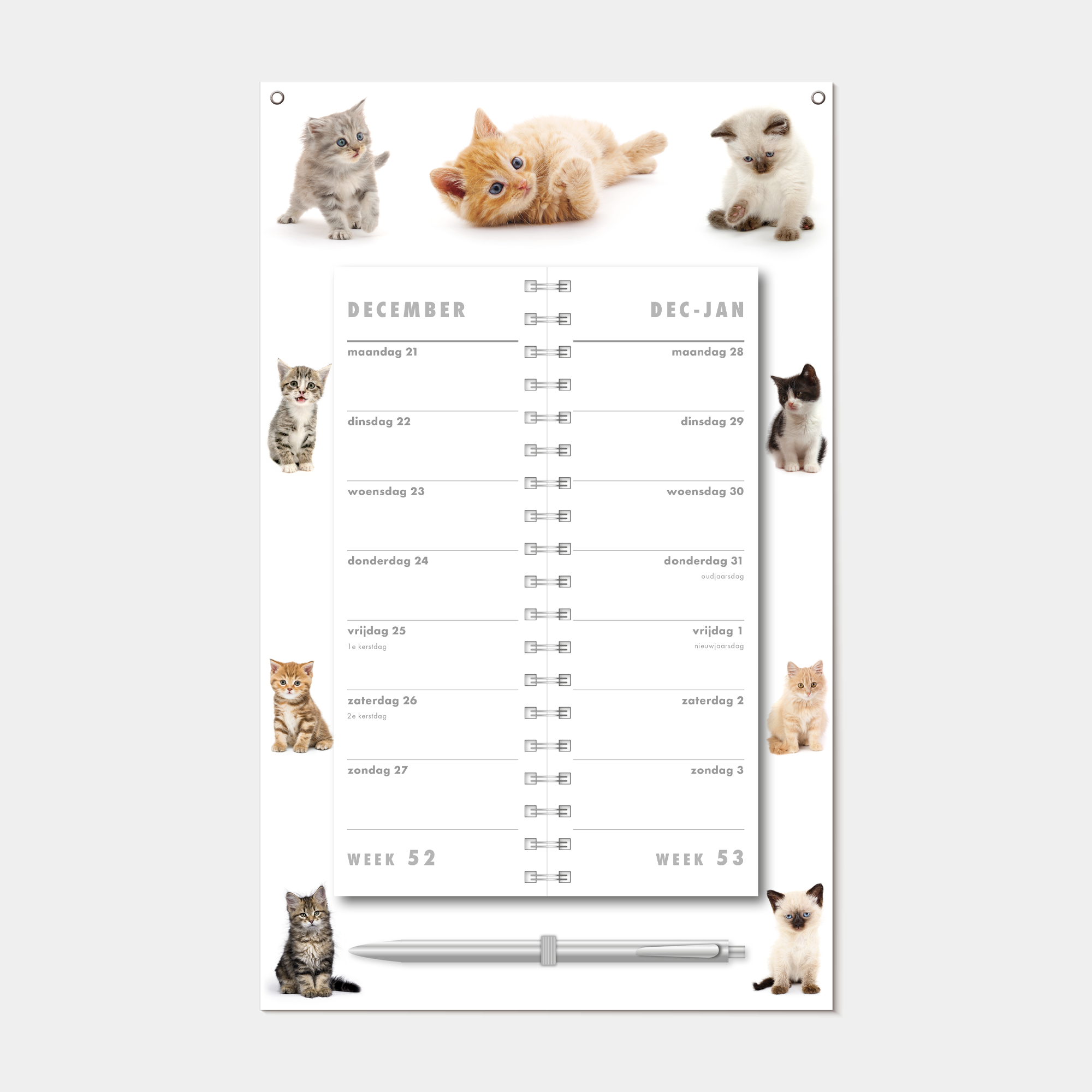 OMSLAGKALENDER 2027 KATTEN